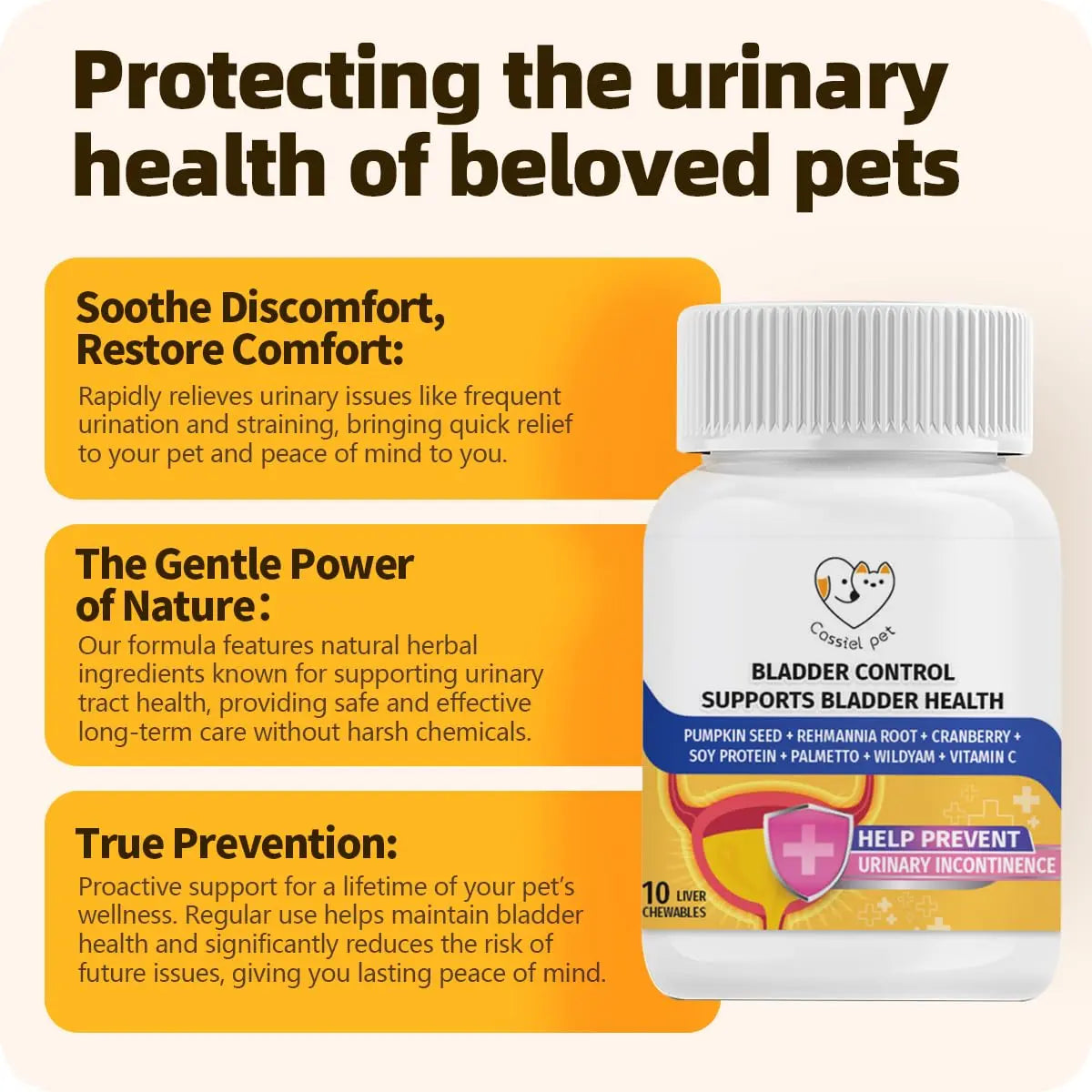 Cassiel Pet Bladder Supports Chews for Urinary Tract Health, Infection Treatments, Bladder Health, Dog UTI, Bladder Stones, Incontinence Support, Urinary Pain Relief for Cat & Dog 10 Chews (1 Bottle) Cassiel pet buy supplements canada