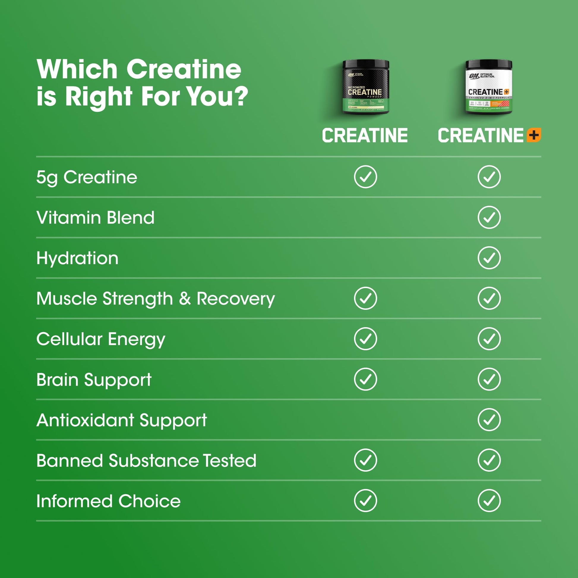 Optimum Nutrition Creatine Monohydrate Plus Powder, Orange Passionfruit Flavored Creatine Performance Blend With Electrolytes for Hydration, Added Vitamins, 40 Servings, 360 Grams (Packaging May Vary) Optimum Nutrition buy supplements canada