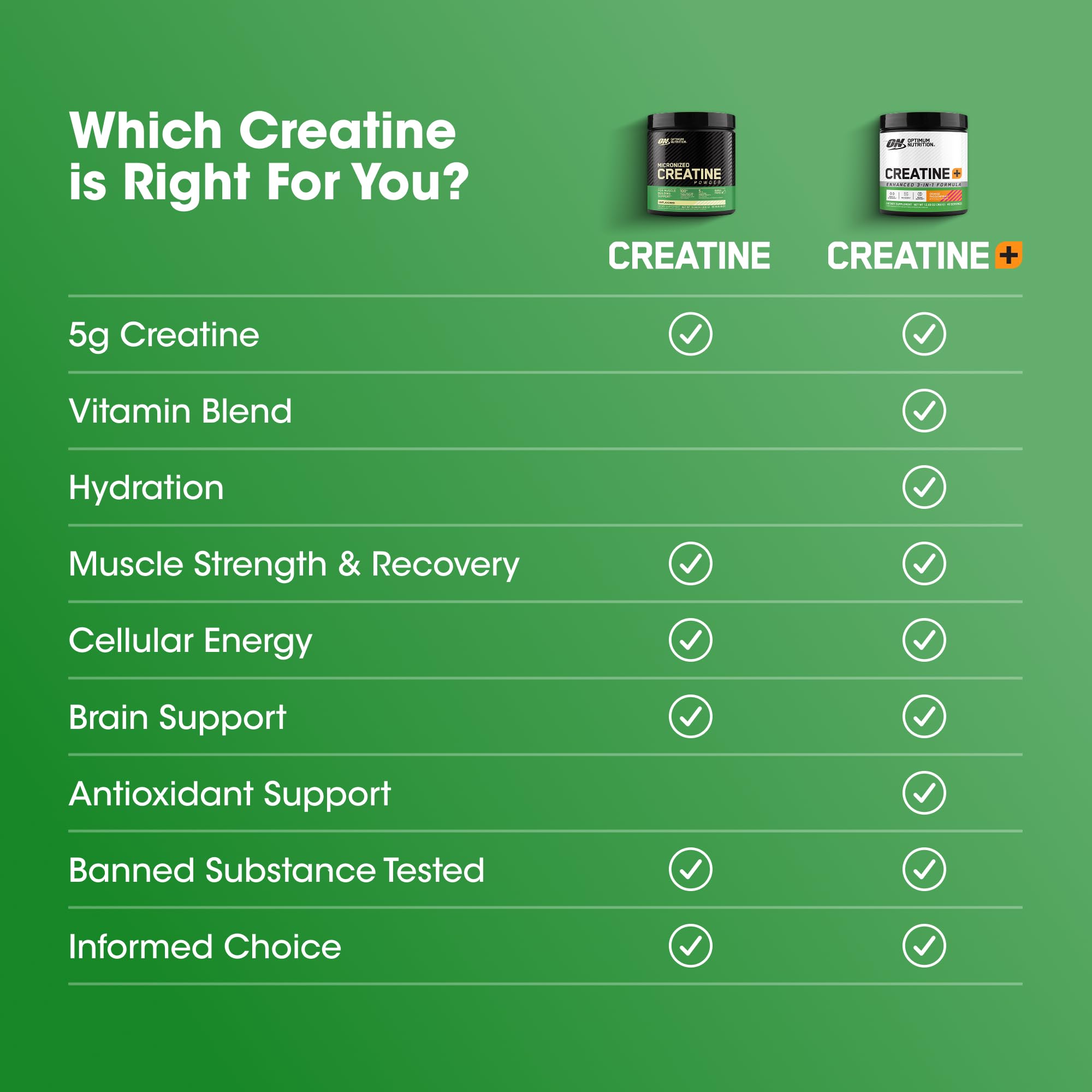 Optimum Nutrition Creatine Monohydrate Plus Powder, Orange Passionfruit Flavored Creatine Performance Blend With Electrolytes for Hydration, Added Vitamins, 40 Servings, 360 Grams (Packaging May Vary) Optimum Nutrition buy supplements canada