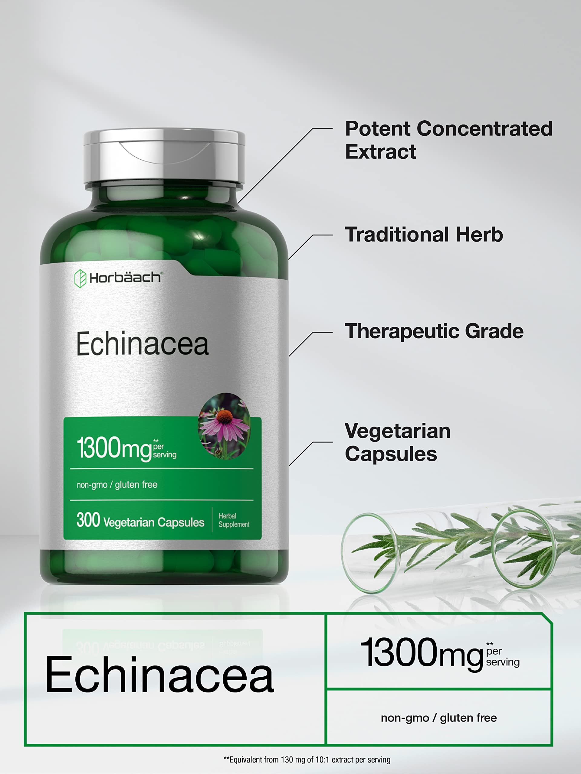 Horbäach Echinacea Extract Capsules | 300 Count | Vegan, Non-GMO, Gluten Free Supplement Horbäach buy supplements canada