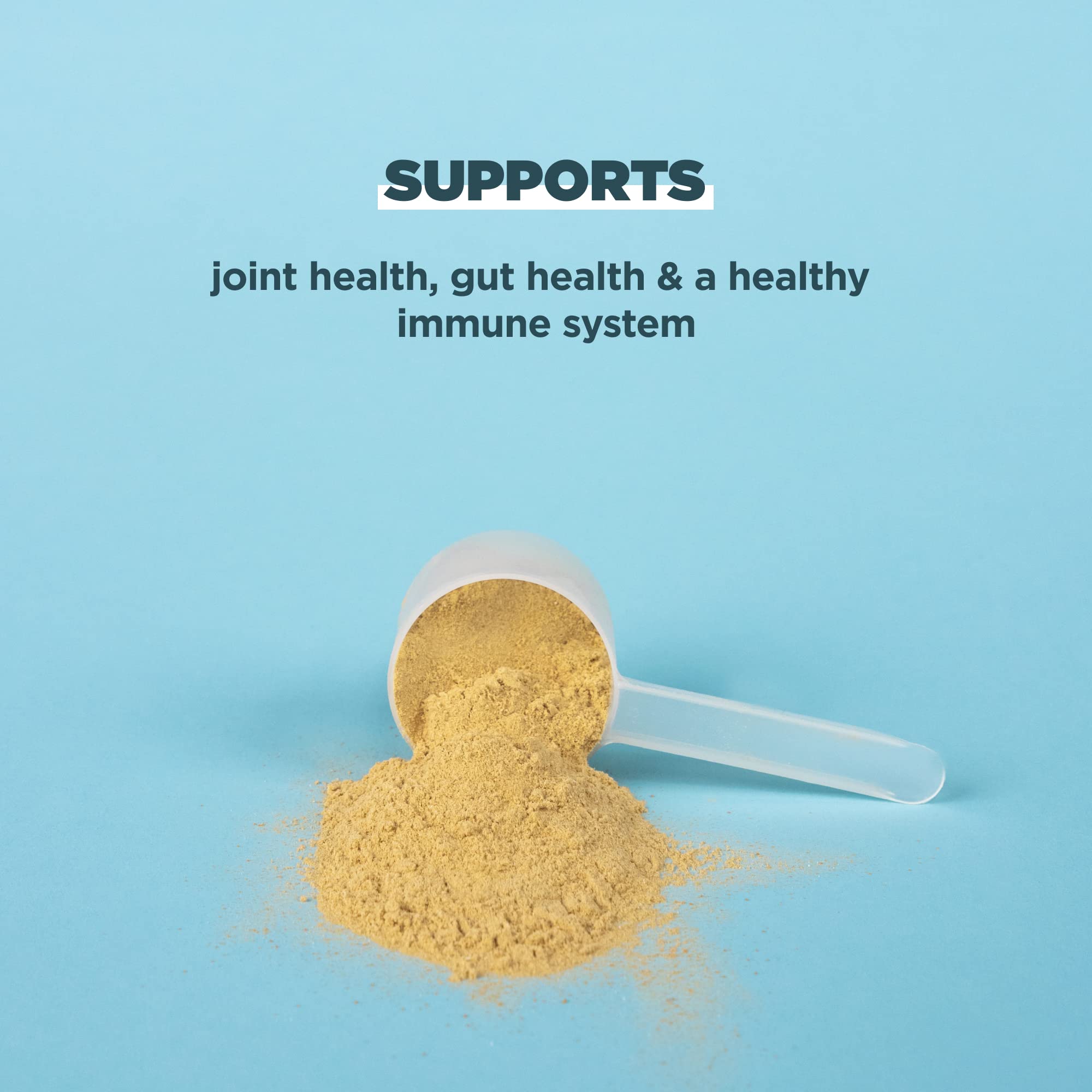 Ancient Nutrition Bone Broth Protein Powder, Pure Flavor, 20 Servings Size Ancient Nutrition buy supplements canada