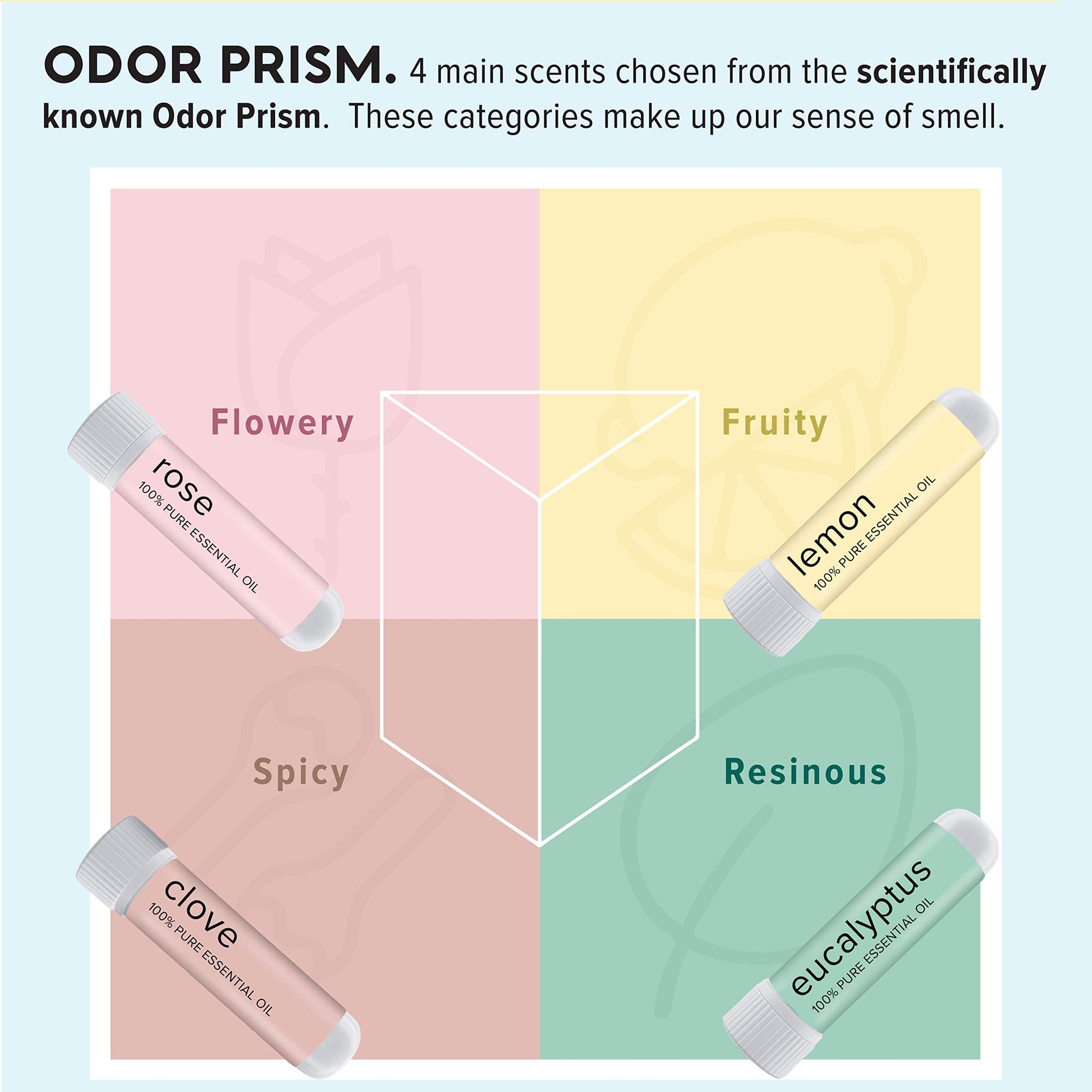 MOXĒ Smell Training Kit, Made in USA, 4 Essential Oils, Olfactory Regeneration, Helps Restore Sense MOXE buy supplements canada