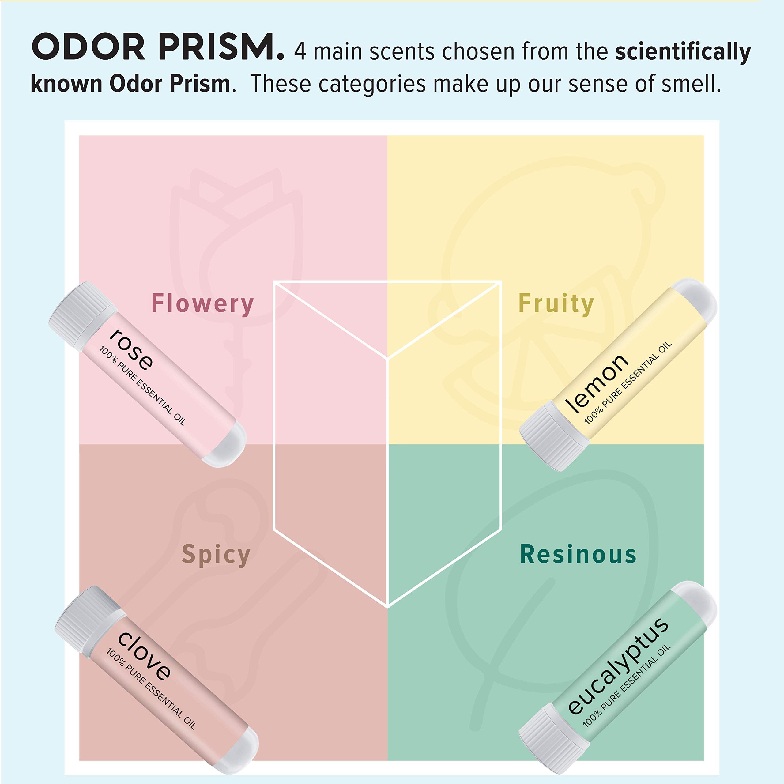MOXĒ Smell Training Kit, Made in USA, 4 Essential Oils, Olfactory Regeneration, Helps Restore Sense MOXE buy supplements canada