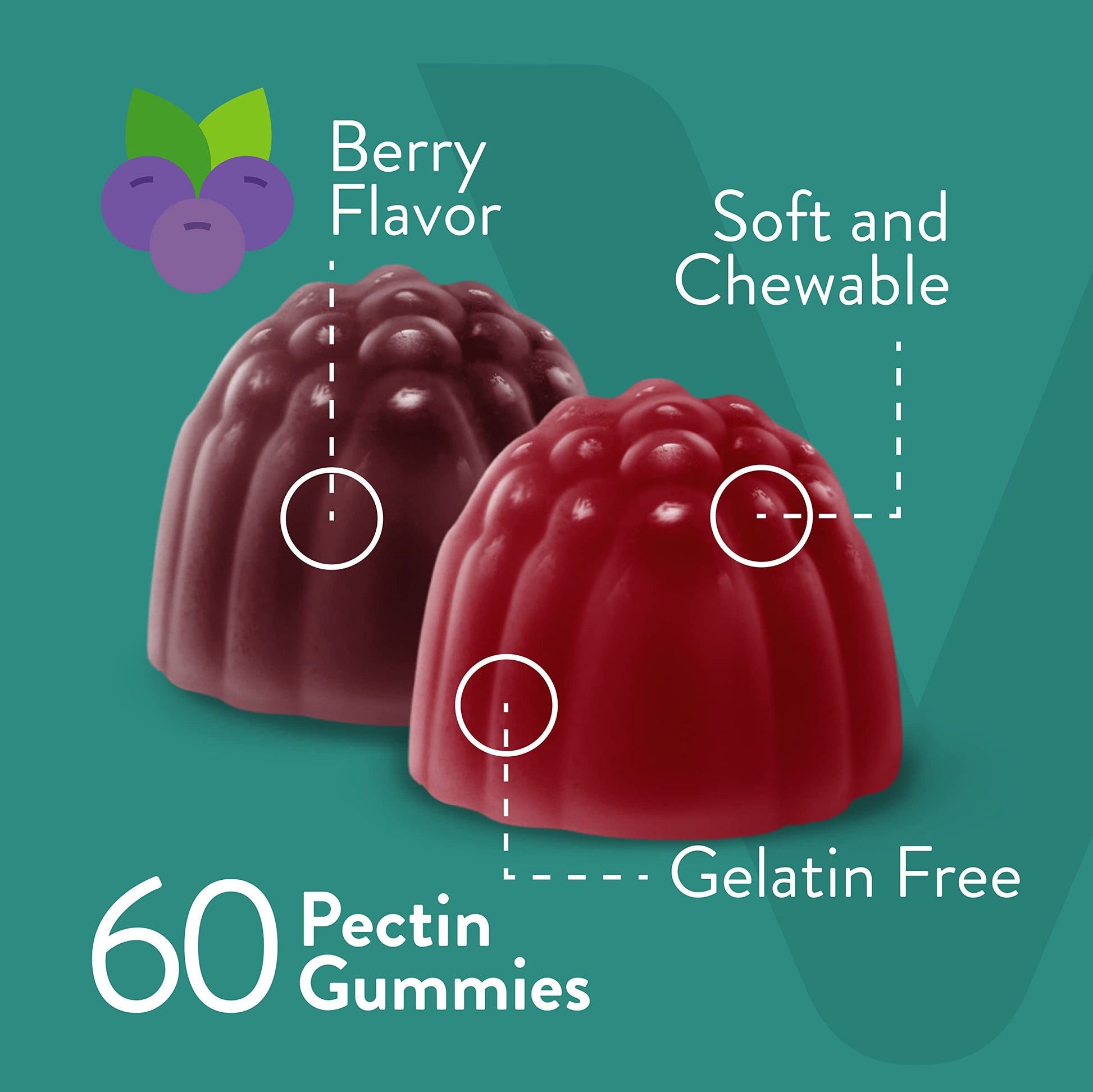 Viteey Probiotic Gummies with Prebiotics – Gut Health Supplements for Digestive Health – 2 Billion CFUs – Vegan, Gluten-Free – 60 Count Viteey buy supplements canada