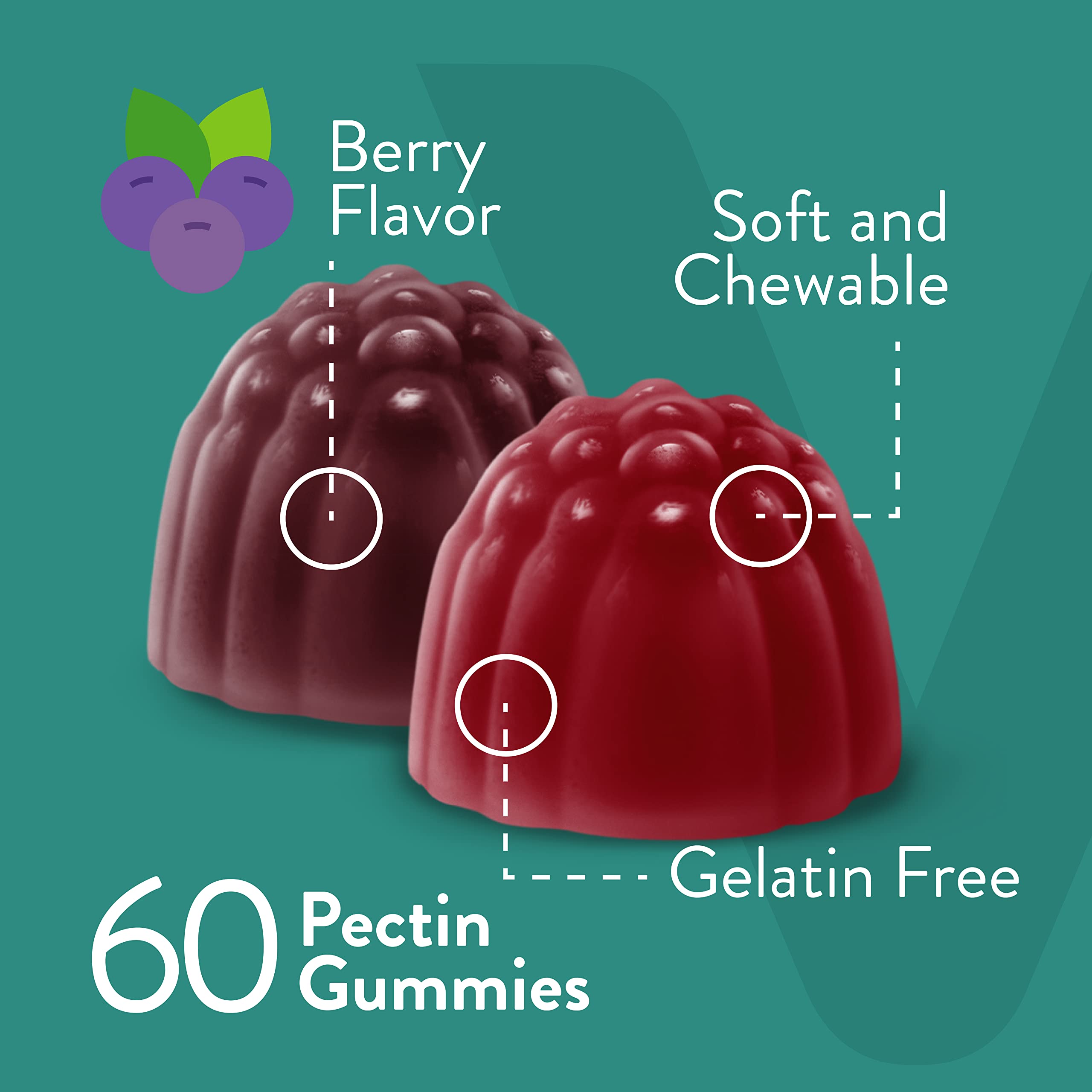 Viteey Probiotic Gummies with Prebiotics – Gut Health Supplements for Digestive Health – 2 Billion CFUs – Vegan, Gluten-Free – 60 Count Viteey buy supplements canada