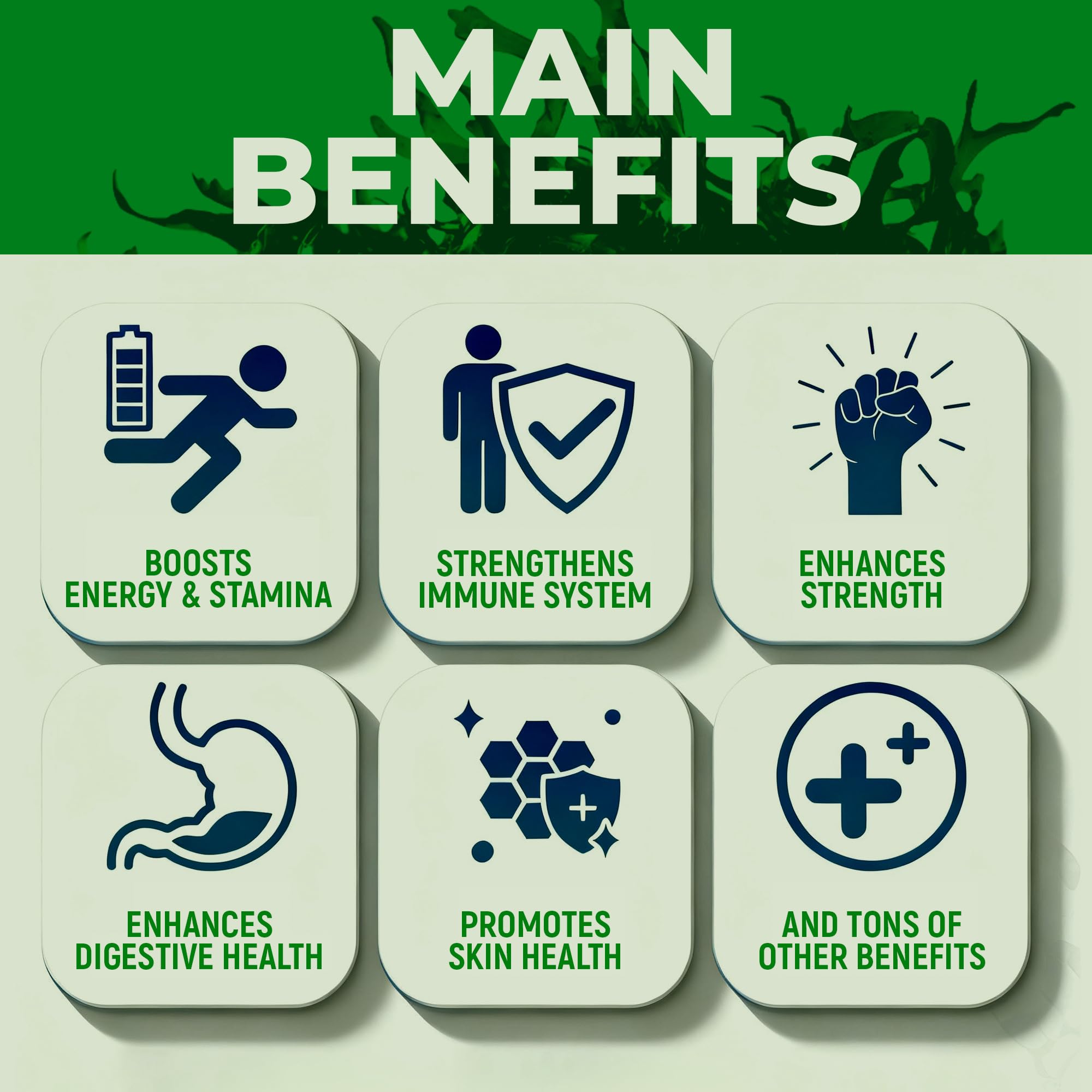 Sea Moss Black Seed Oil Ashwagandha Ginger - Advanced Irish Sea Moss Capsules All in One Supplement with Seamoss Black Seed Oil Ashwagandha Burdock Root Bladderwrack - Pills for Energy, Immune, Gut Opti Health buy supplements canada