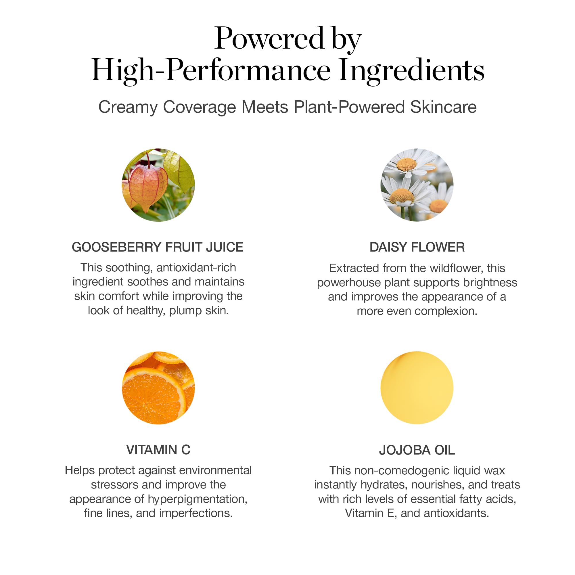 Ogee Complexion Perfecting Liquid Foundation - Lightweight Tinted Moisturizer For Face (Mahogany 14.5N - Deep Cocoa (Rich Undertones) - with Vitamin C & Jojoba Oil - Certified Organic & Made in USA Ogee buy supplements canada