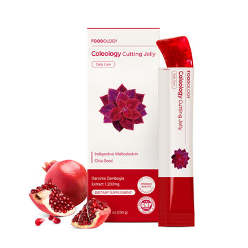 FOODOLOGY Coleology Cutting Stick Jelly (Pomegranate) – Dietary Fiber Supplement for Healthy Weight Management, Chia Seeds & Garcinia Cambogia FOODOLOGY buy supplements canada