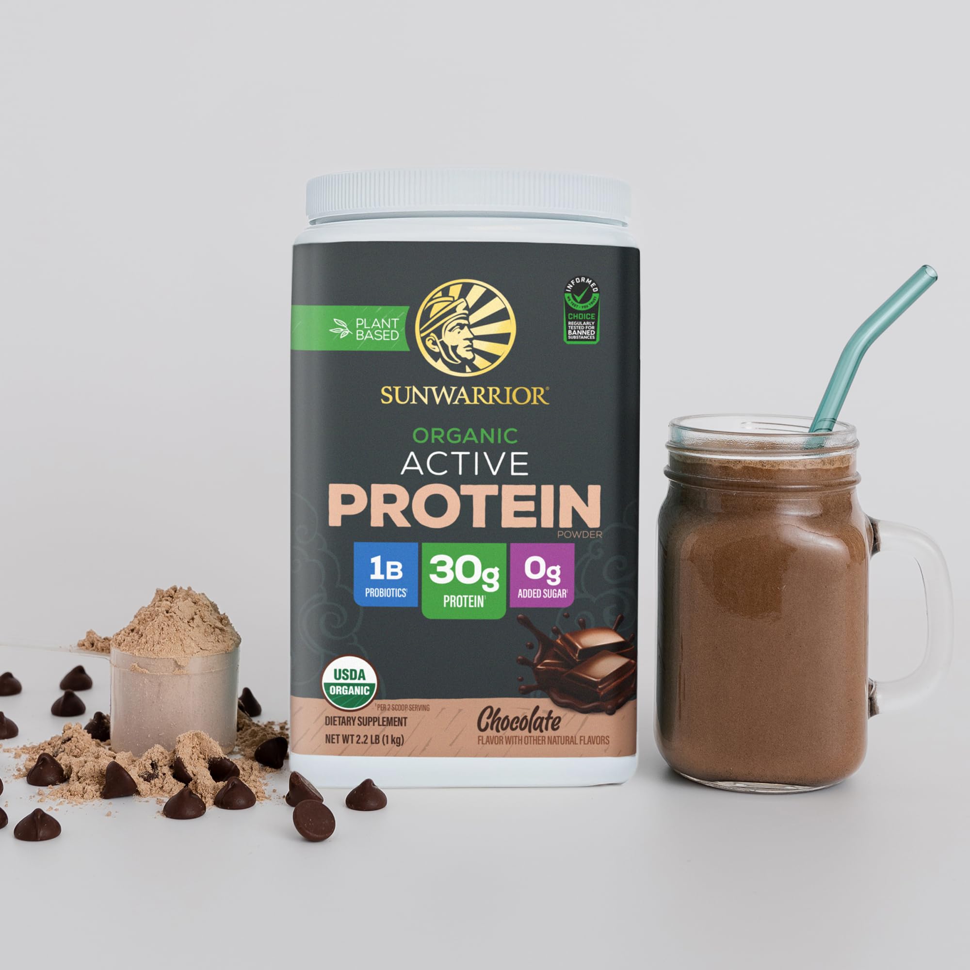 Sunwarrior Organic Plant Based Protein Powder | Vegan Organic Protein Powder with BCAA Amino Acids Plus Recovery Minerals & Botanicals | Non-GMO Soy Dairy & Gluten Free Sunwarrior buy supplements canada