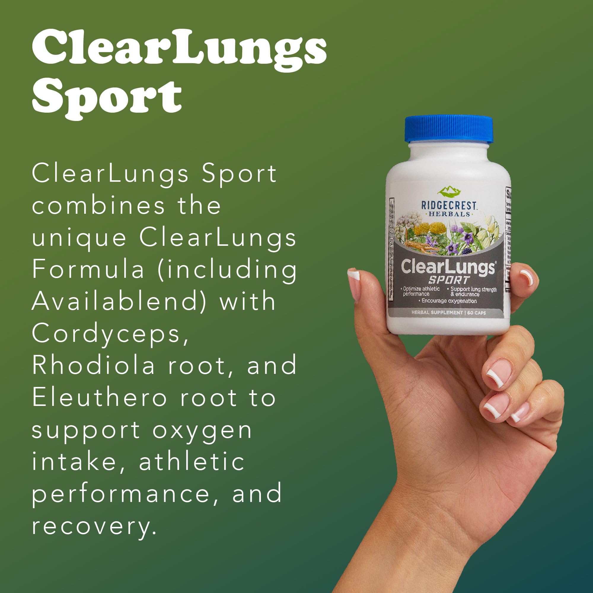 Ridgecrest Herbals ClearLungs Sport, Oxygen Intake and Lung Support Formula with Cordyceps, Rhodiola, Eleuthero (60 Vegan Caps, 30 Serv) RidgeCrest Herbals buy supplements canada