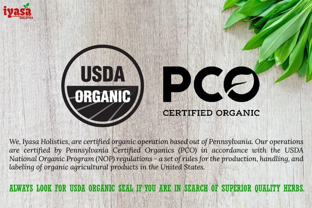 Iyasa Organic Beet Root Powder, Plant Based, Vegan, Gluten-Free, Beetroot Superfood Iyasa Holistics buy supplements canada