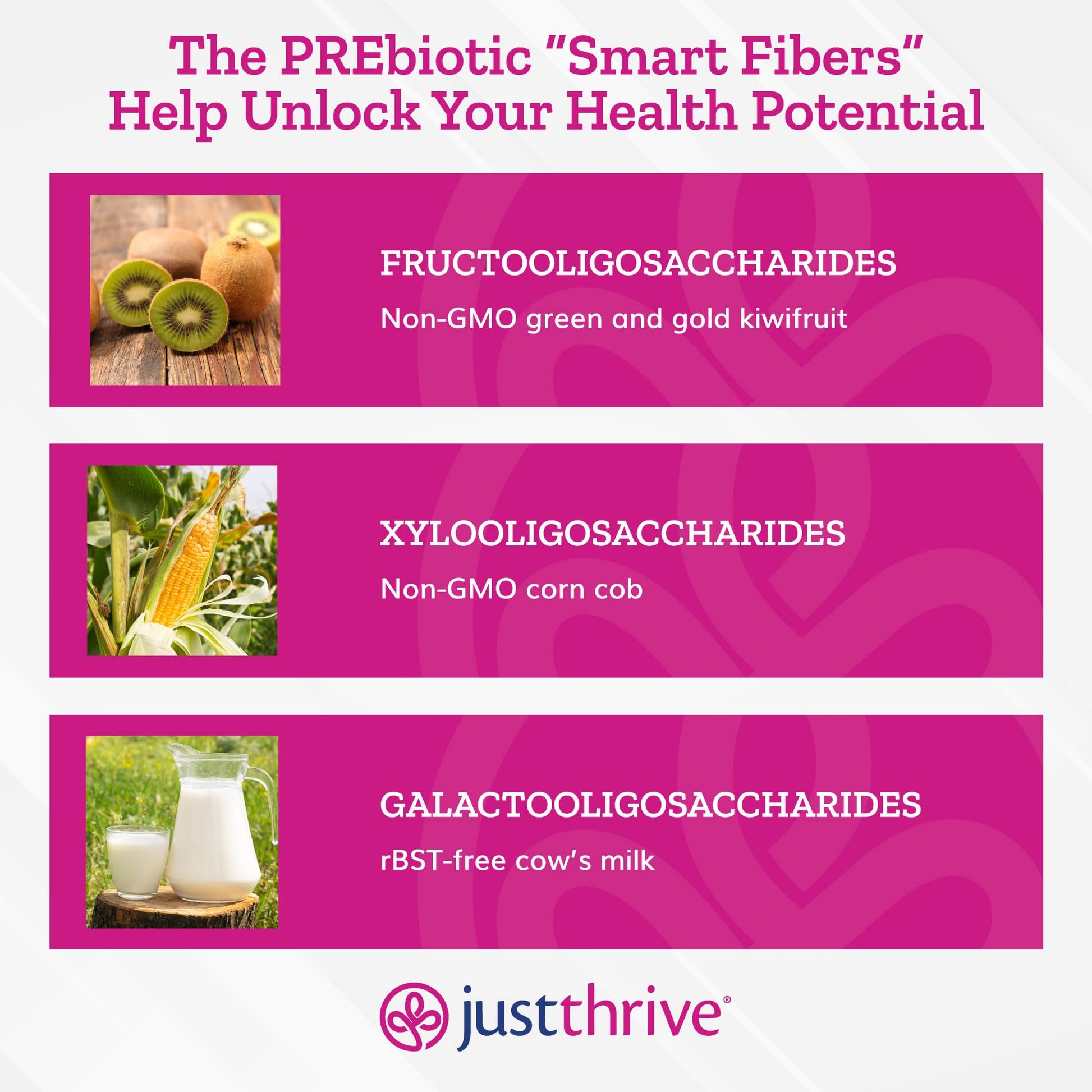 Just Thrive PREbiotic Powder - Digestive and Immune Support Supplement, 150 g Just Thrive buy supplements canada