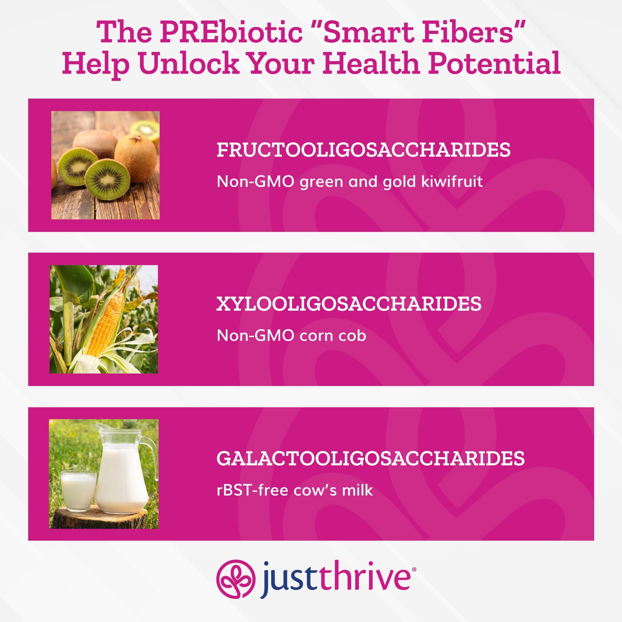 Just Thrive PREbiotic Powder - Digestive and Immune Support Supplement, 150 g Just Thrive buy supplements canada