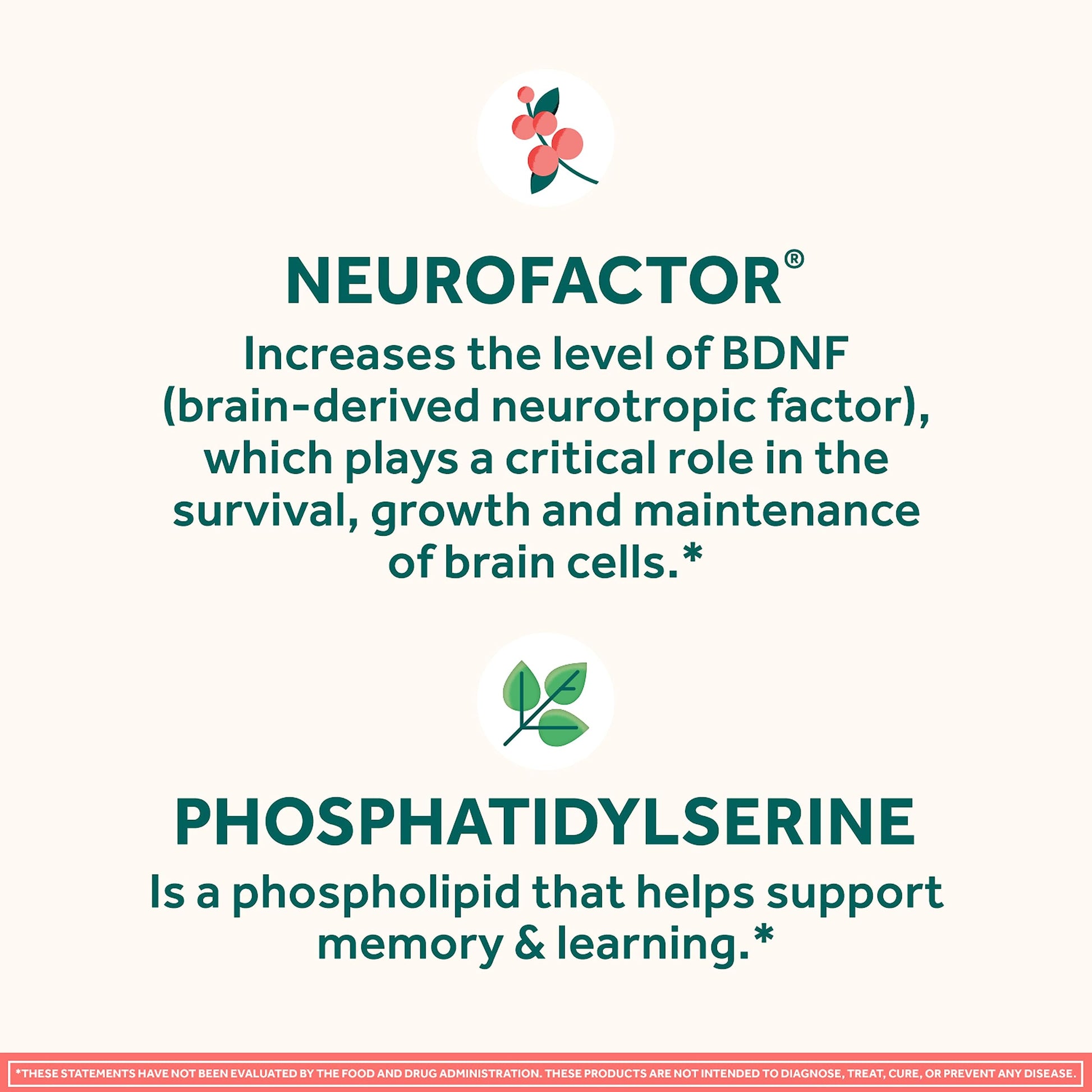 NEURIVA Original Brain Supplement for Memory, Focus & Concentration + Learning & Accuracy with Clinically Tested Nootropics Phosphatidylserine and Neurofactor, Strawberry Flavor, 50 Gummies NEURIVA buy supplements canada