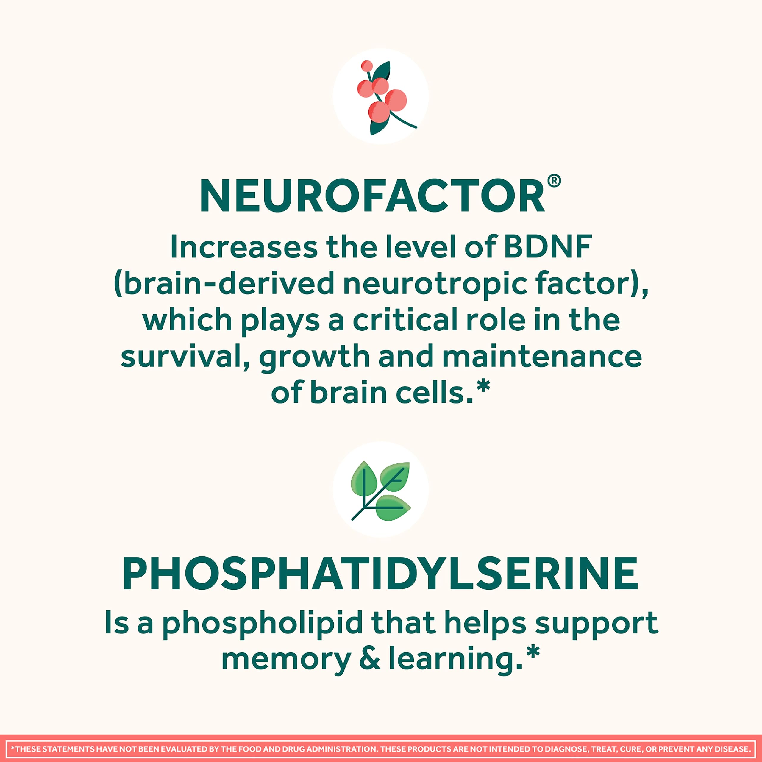 NEURIVA Original Brain Supplement for Memory, Focus & Concentration + Learning & Accuracy with Clinically Tested Nootropics Phosphatidylserine and Neurofactor, Strawberry Flavor, 50 Gummies NEURIVA buy supplements canada