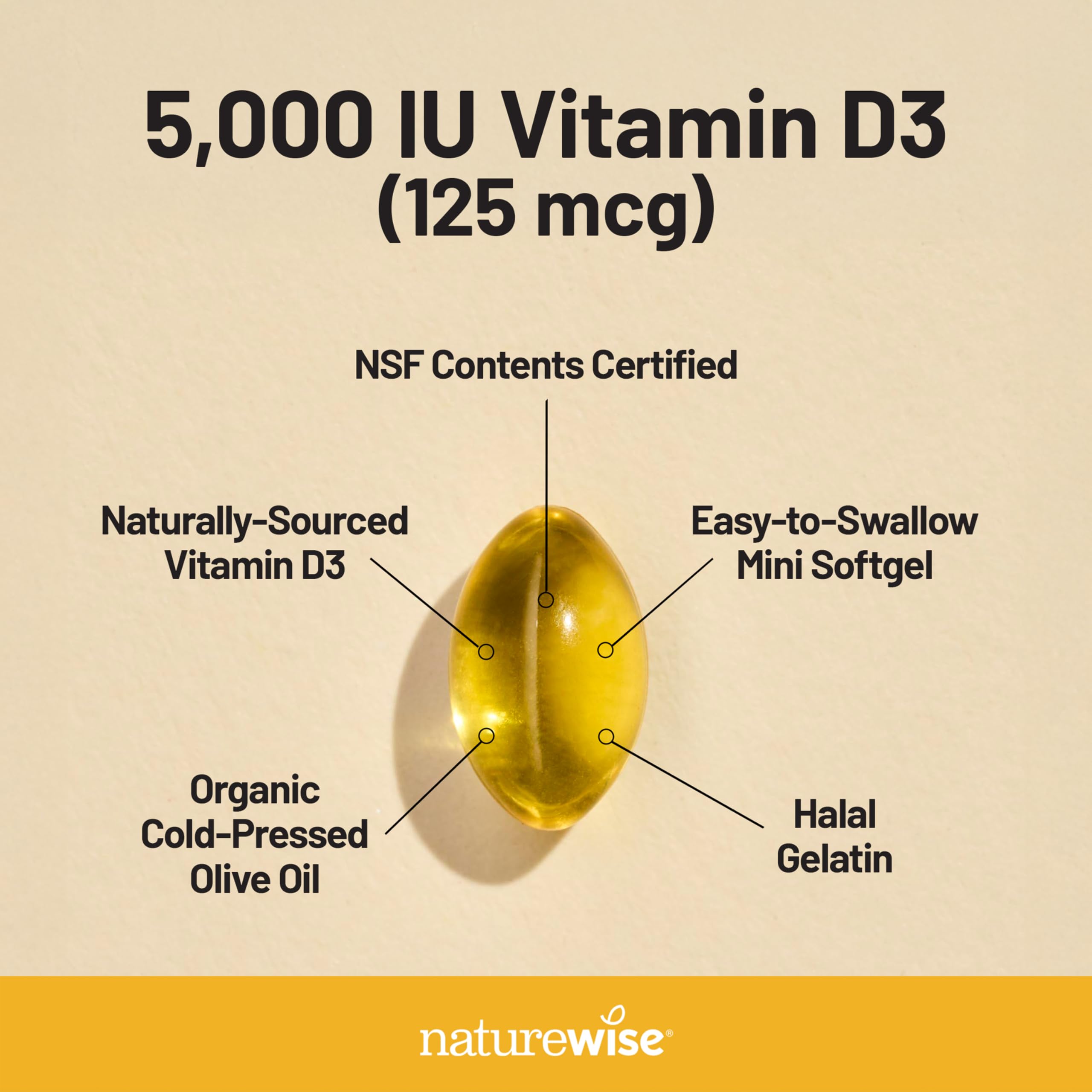 NatureWise Vitamin D3 5000iu (125 mcg) 1 Year Supply for Immune Support, Healthy Muscle Function, and Bone Health - Non-GMO NatureWise buy supplements canada