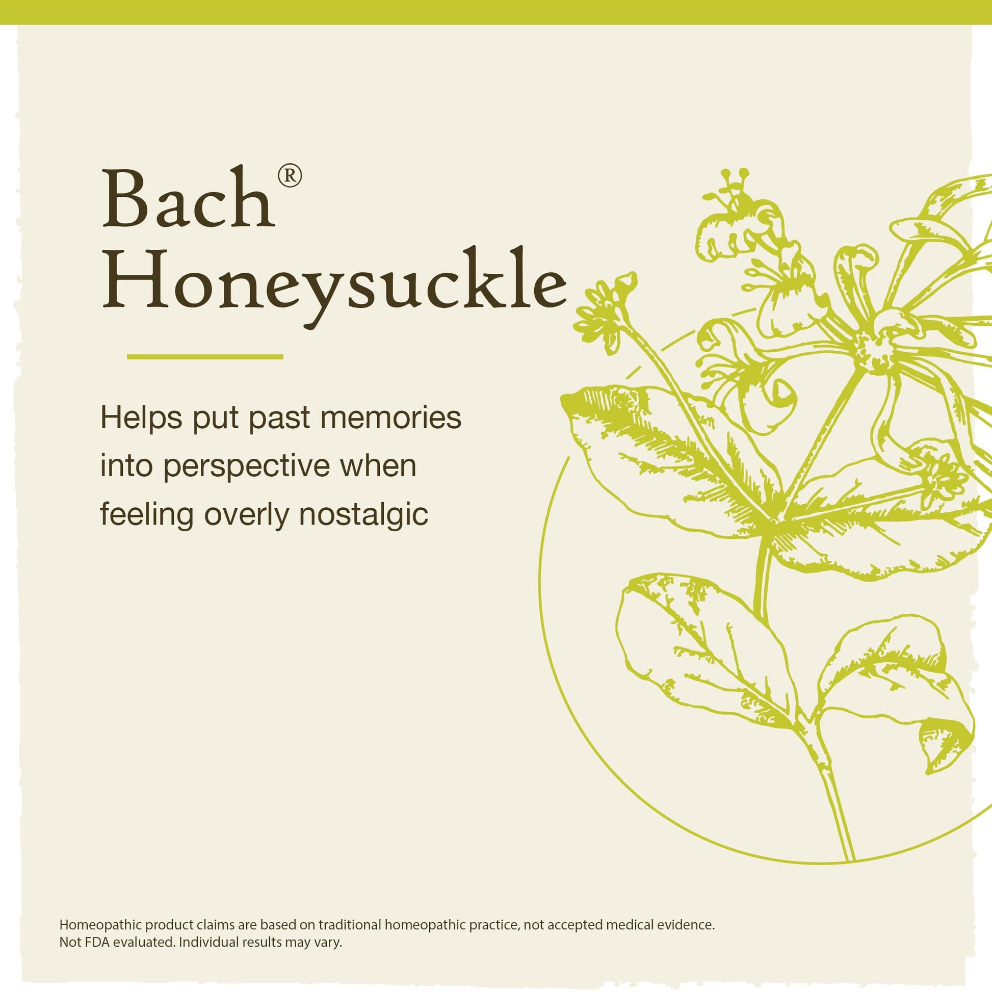 Bach Original Flower Remedies, Honeysuckle for Embracing The Now (Non-Alcohol Formula) Bach buy supplements canada