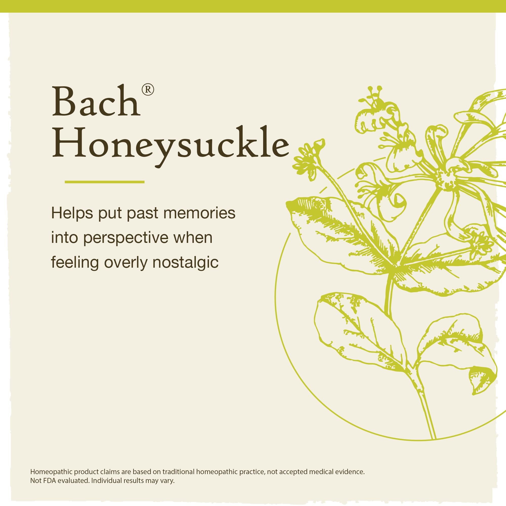 Bach Original Flower Remedies, Honeysuckle for Embracing The Now (Non-Alcohol Formula) Bach buy supplements canada