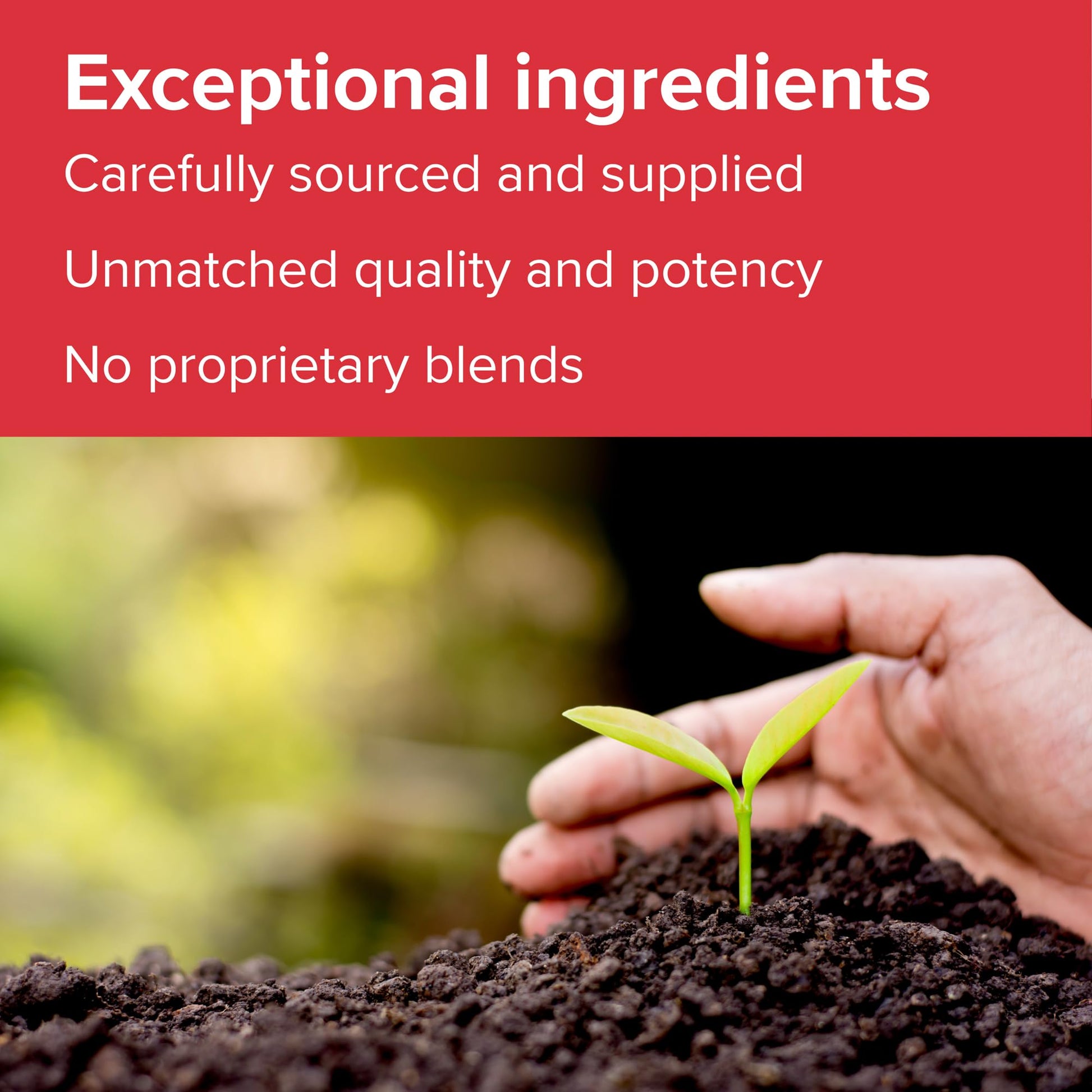 Vibrant Health - Super Natural Boron, Support for Healthy Joints, Hormone Levels, and Connective Tissue with Calcium Fructoborate and Broccoli Powder, Gluten Free, Vegetarian, Non-GMO, 60 Count Vibrant Health buy supplements canada
