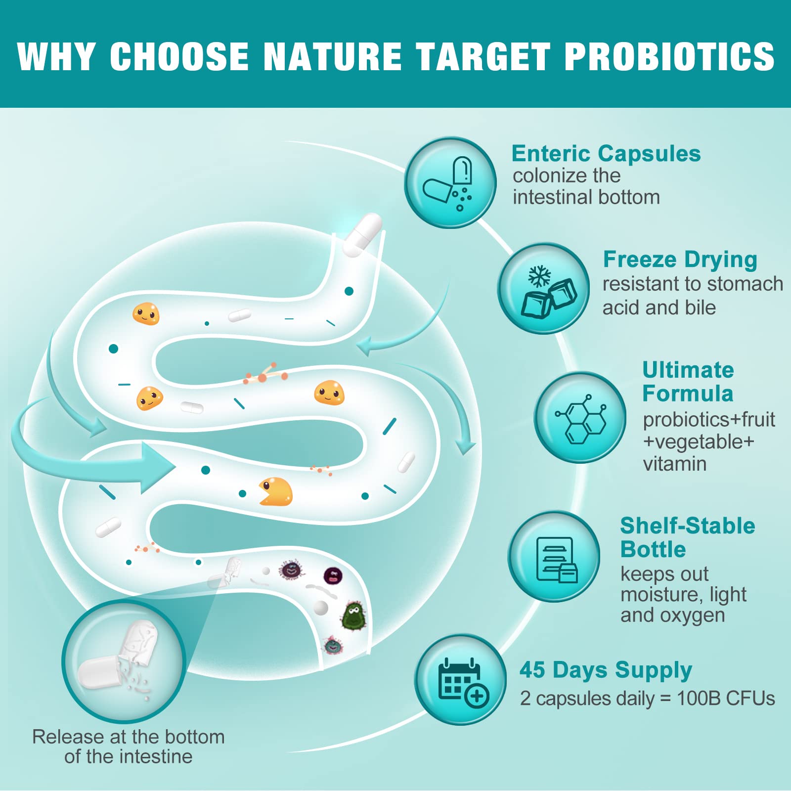 Probiotics for Women-Men-Kids Digestive Health, Prebiotics and Probiotics for Women NATURE TARGET buy supplements canada