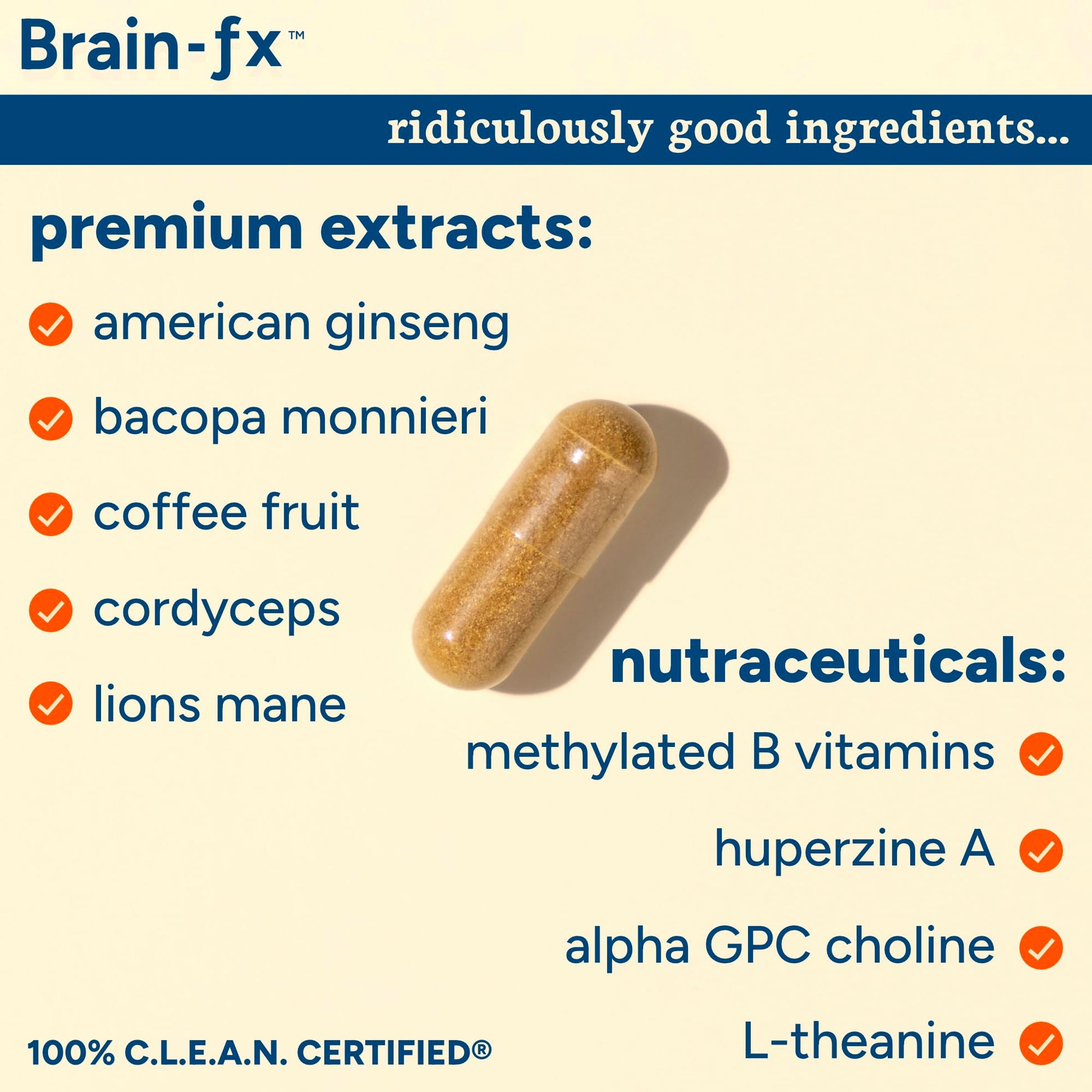PPO Lab® Brain-fx™ Extended-Release Vitamins for Brain Health, Supplement for Memory and Focus with Nootropics, BDNF Factor, Methylated B Complex, L-Theanine PPO Lab buy supplements canada