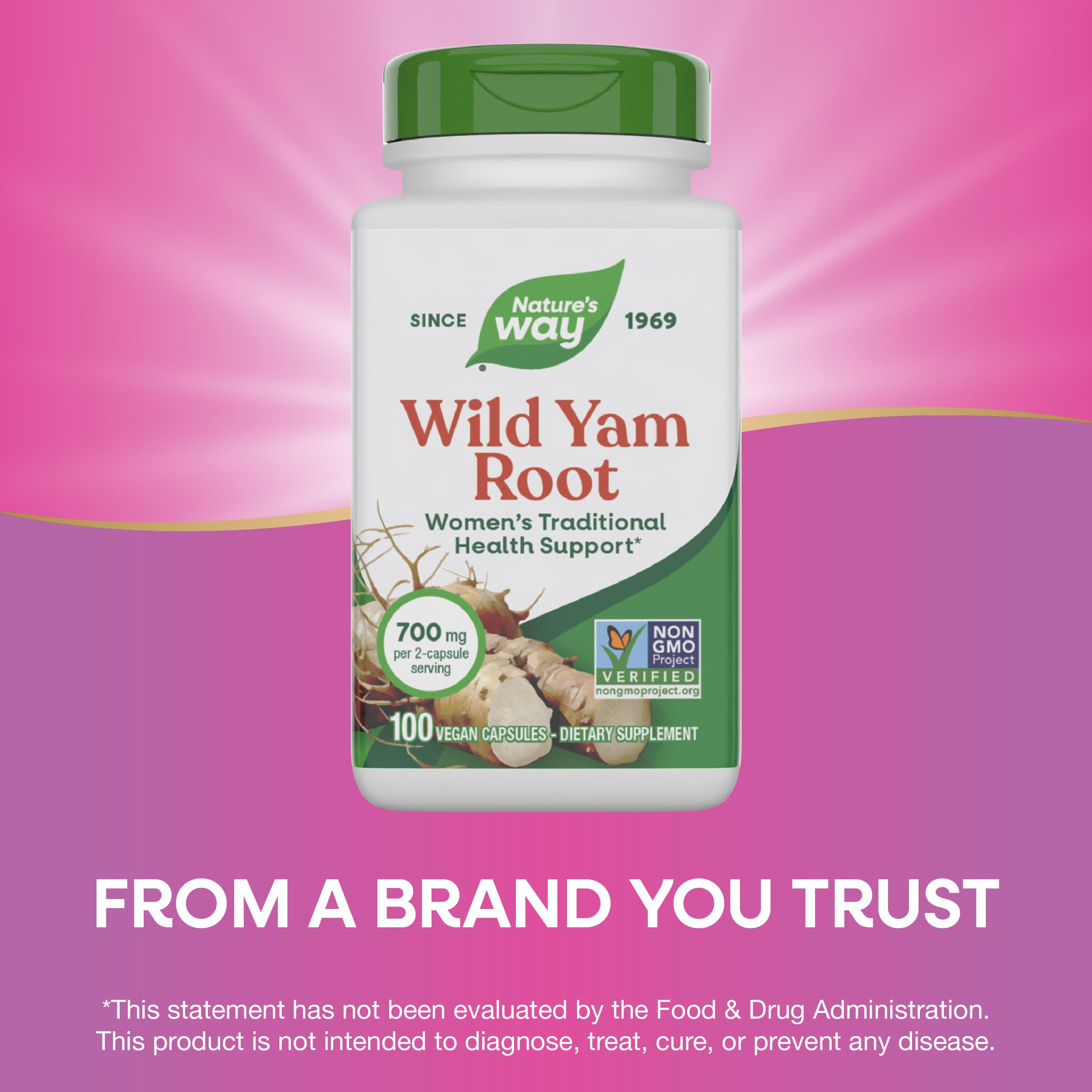 Nature's Way Wild Yam Root Capsules, Women's Traditional Health Support*, 700 mg per 2-Capsule Serving, Non-GMO Project Verified, 100 Vegan Capsules (Packaging May Vary) Nature's Way buy supplements canada