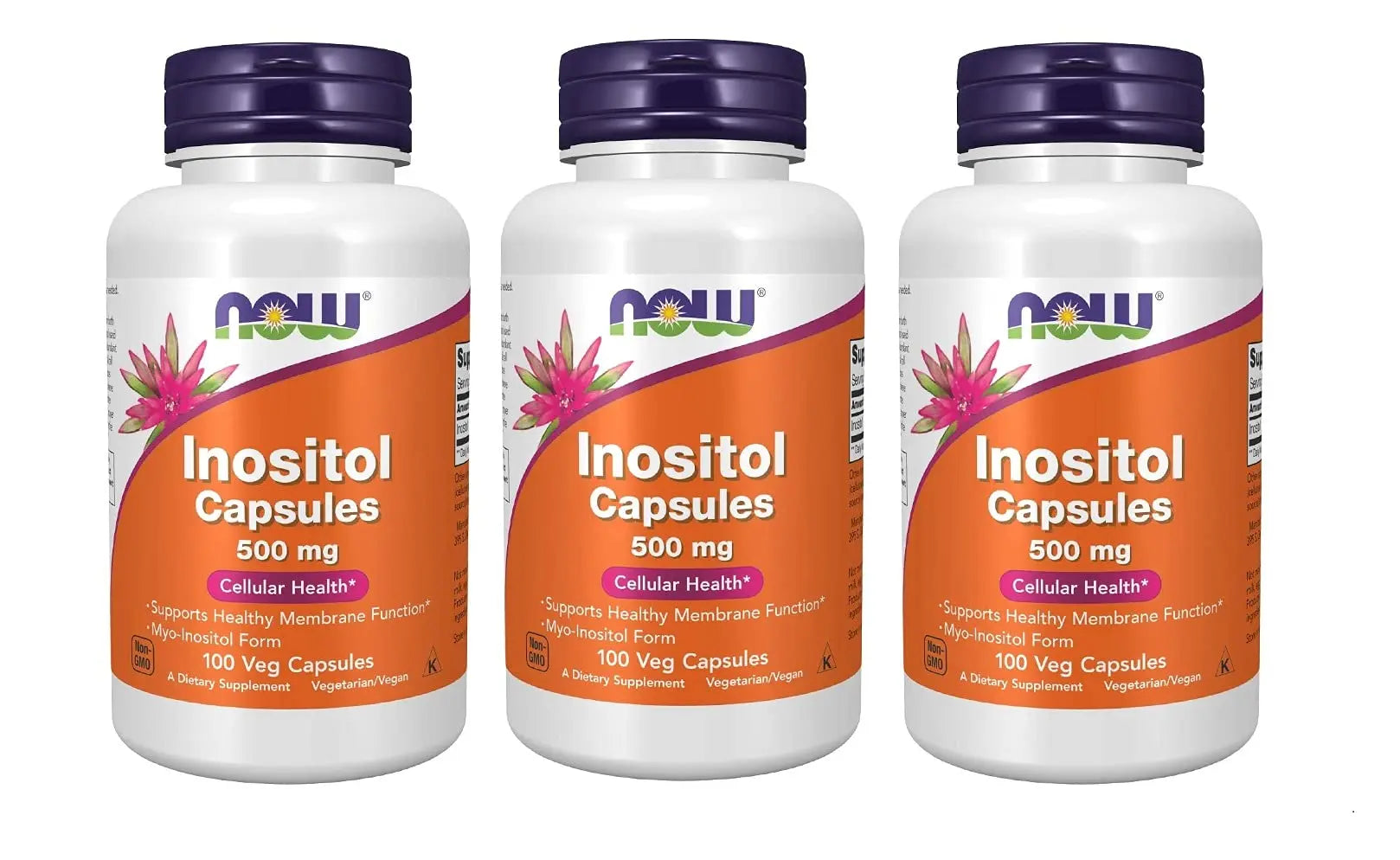 NOW Foods Foods Inositol 500mg,100 Capsules (Pack of 3) NOW Foods buy supplements canada