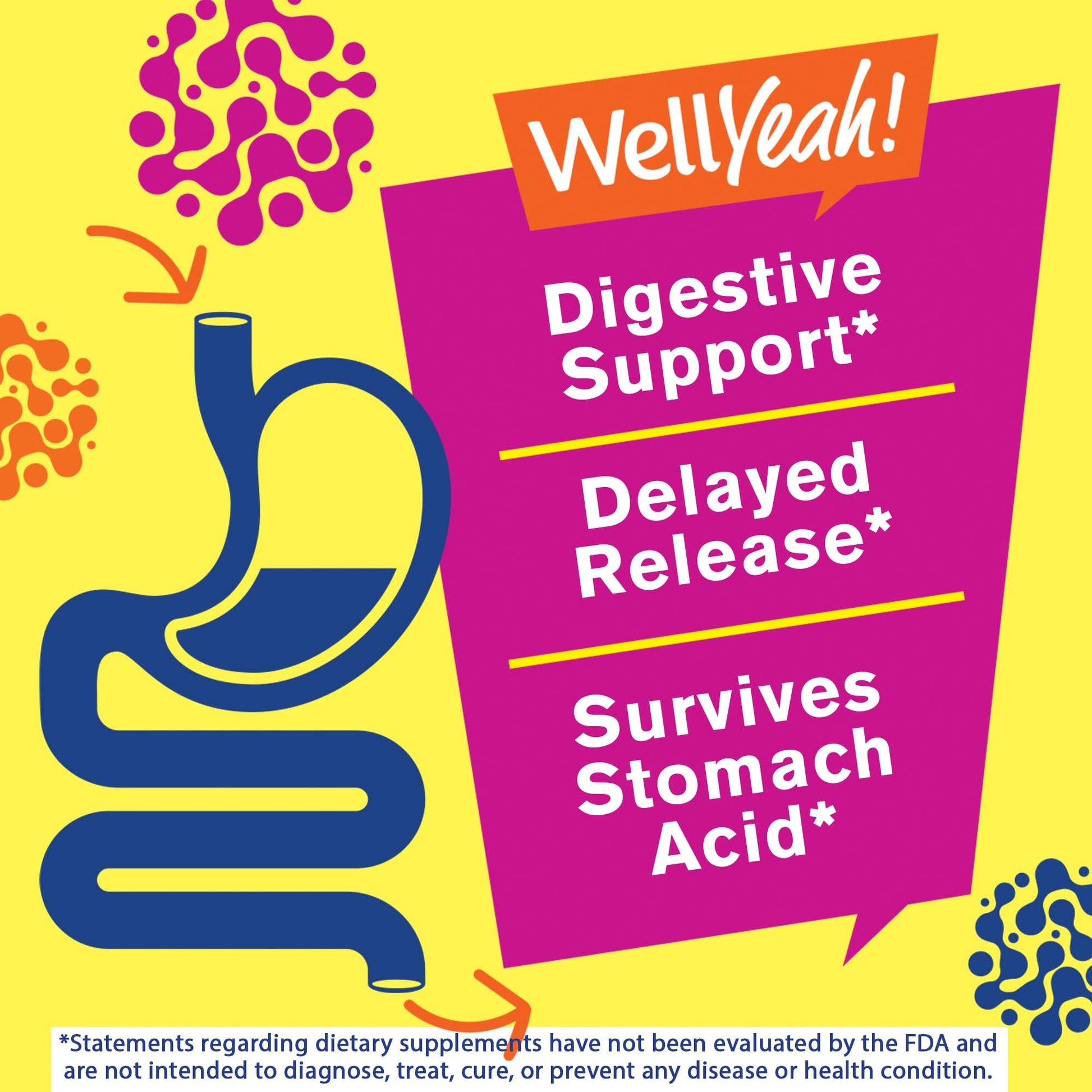 WellYeah Probiotics for Women Gummies - 10 Billion CFU - for Digestive Support, Gut Health, and Feminine Health Support - Natural Sourced Flavors - Vegan WellYeah buy supplements canada