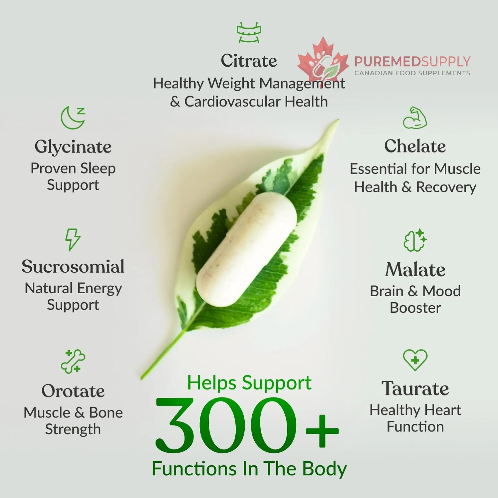 BIOptimizers Magnesium Breakthrough Supplement with 500mg - 7 Forms of Magnesium: Glycinate, Malate, Citrate, and More - Natural Support for Sleep and Cognitive Function -90 Capsules- Calming Vitamins BIOptimizers buy supplements canada