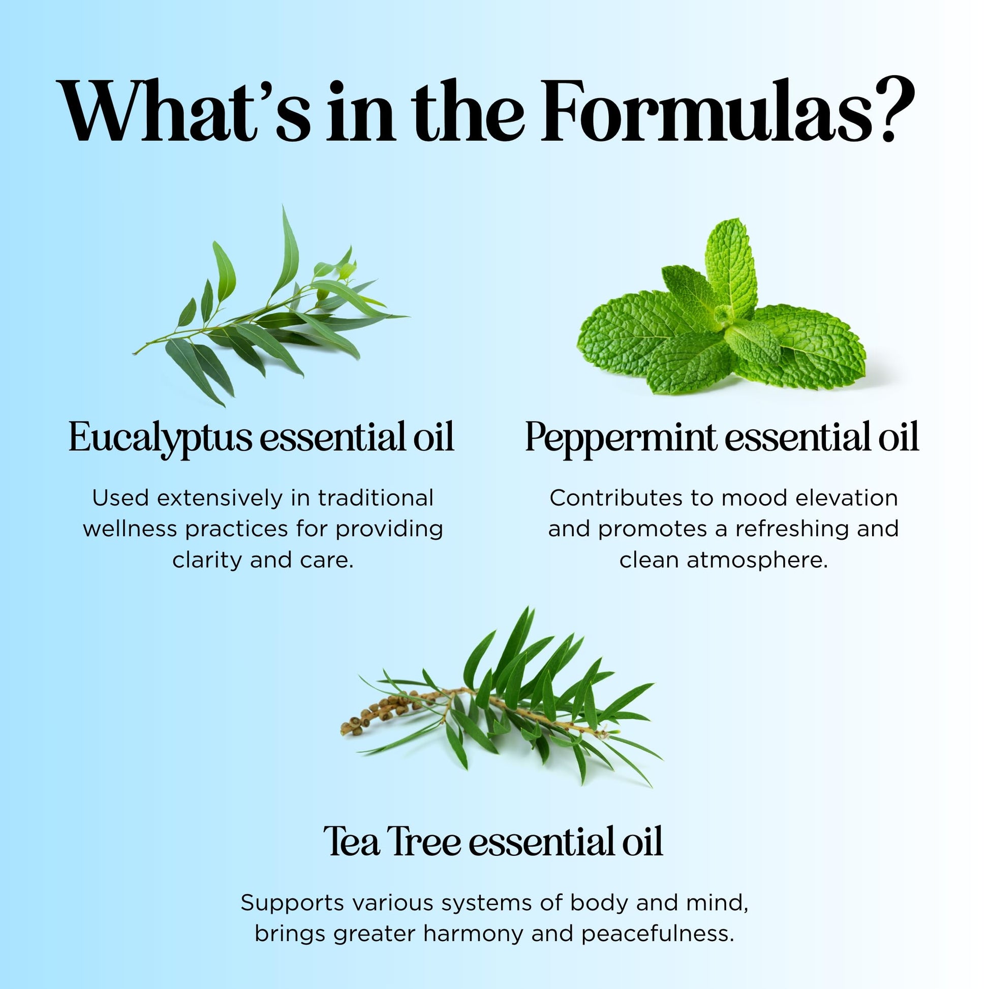 Headache Roll on Essential Oils - Aromatherapy Essential Oils Sets Variety Pack with Peppermint Clarify Maple Holistics buy supplements canada