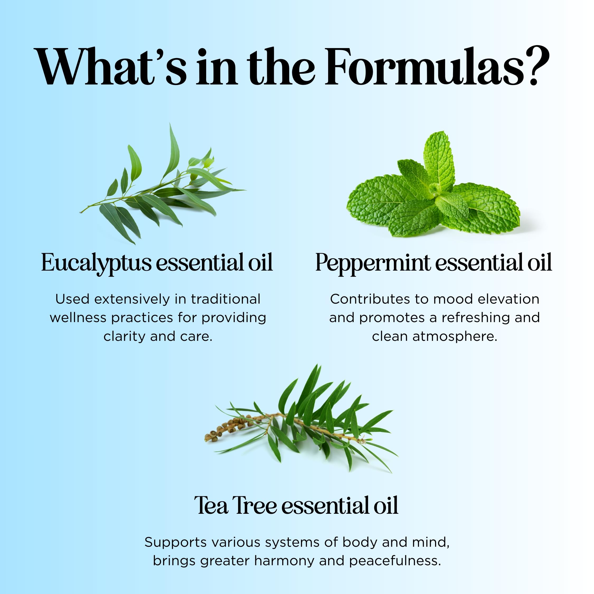 Headache Roll on Essential Oils - Aromatherapy Essential Oils Sets Variety Pack with Peppermint Clarify Maple Holistics buy supplements canada