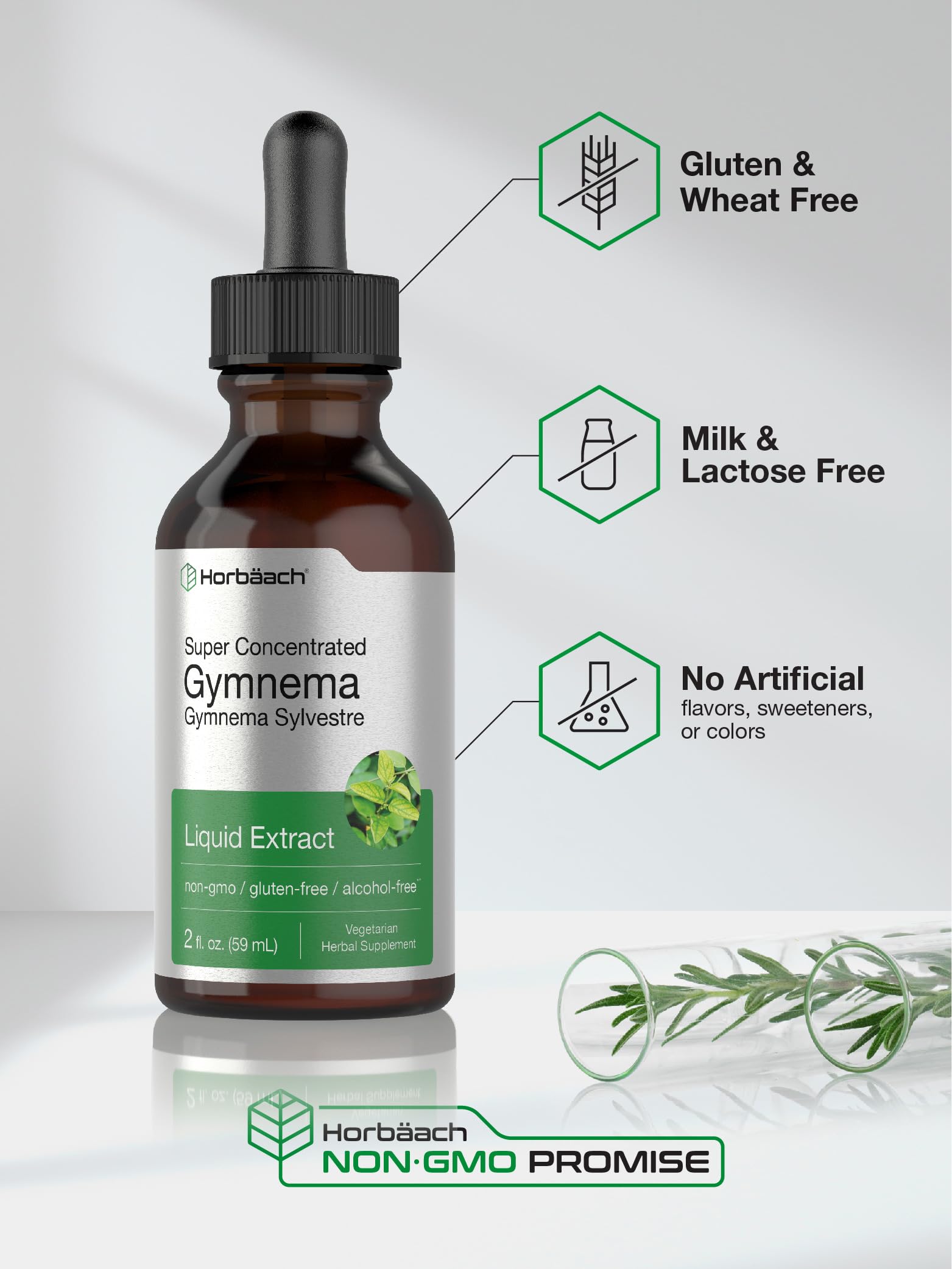 Gymnema Sylvestre Liquid | 2 fl oz | Alcohol Free Supplement | Super Concentrated Horbäach buy supplements canada