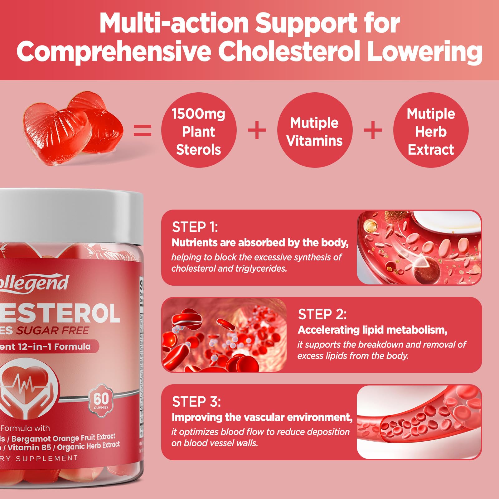 HOLLEGEND Cholesterol Gummies Sugar-Free,12-in-1 Cholesterol Supplements with Plant Sterols,Citrus Bergamot,CoQ10 and Vitamins for Cholesterol Health, Vegan, Mixed Berry Flavor, 60 Counts HOLLEGEND buy supplements canada