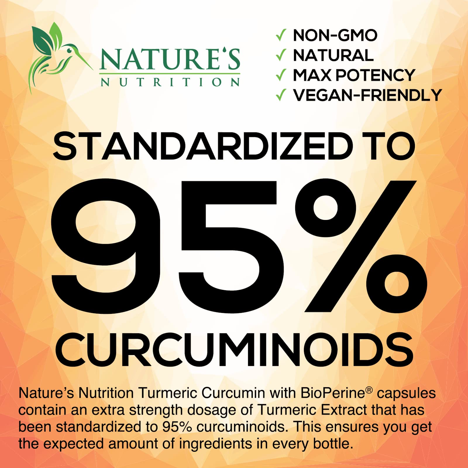 Turmeric Curcumin with BioPerine & Ginger 95% Standardized Curcuminoids Nature's Nutrition buy supplements canada