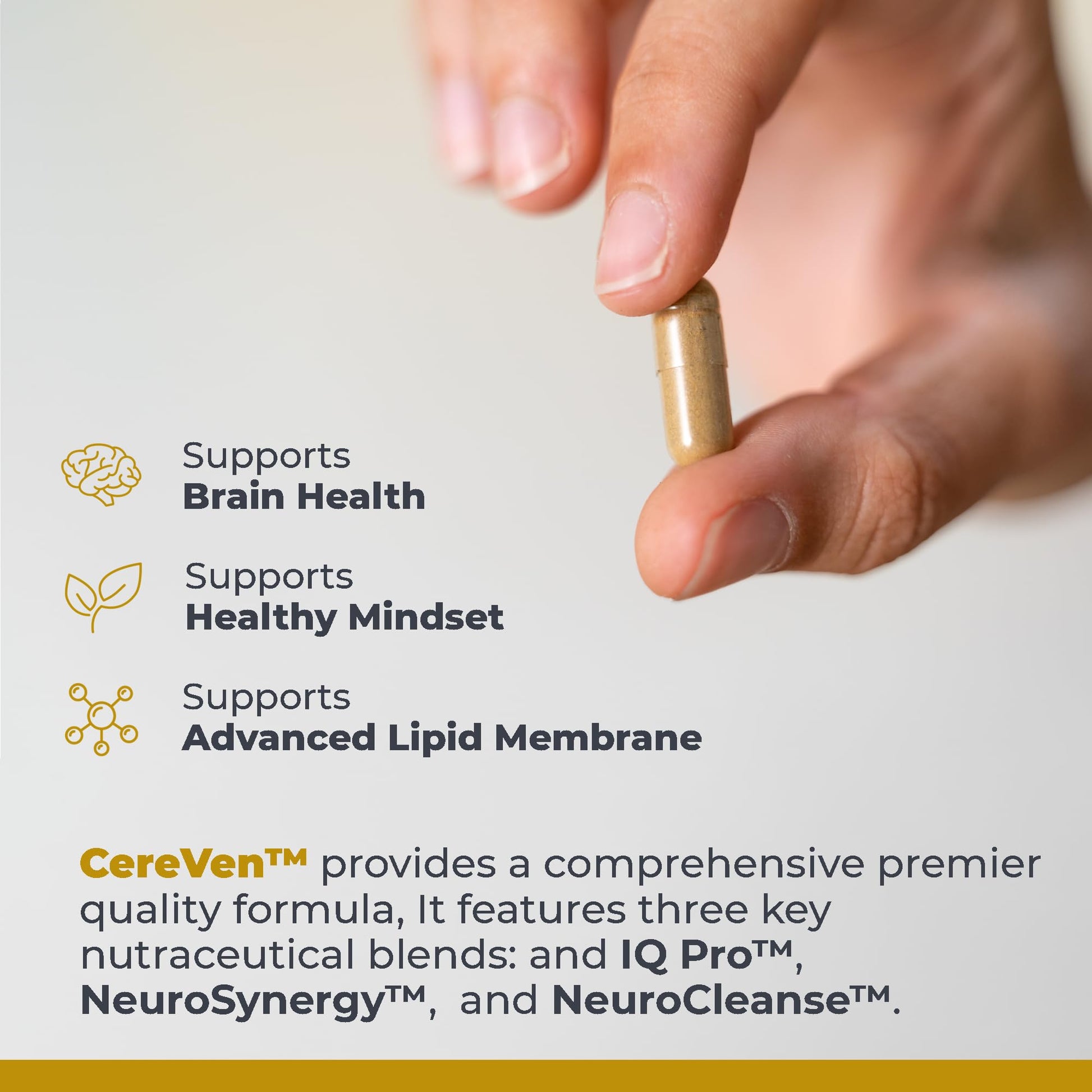 Premier Research Labs CereVen - Herbal Brain Supplement for Memory & Focus Featuring Rhodiola Rosea, Rhodiola Rosea Supplement for Brain Health Support - 60 Vegetarian Capsules Premier Research Labs buy supplements canada