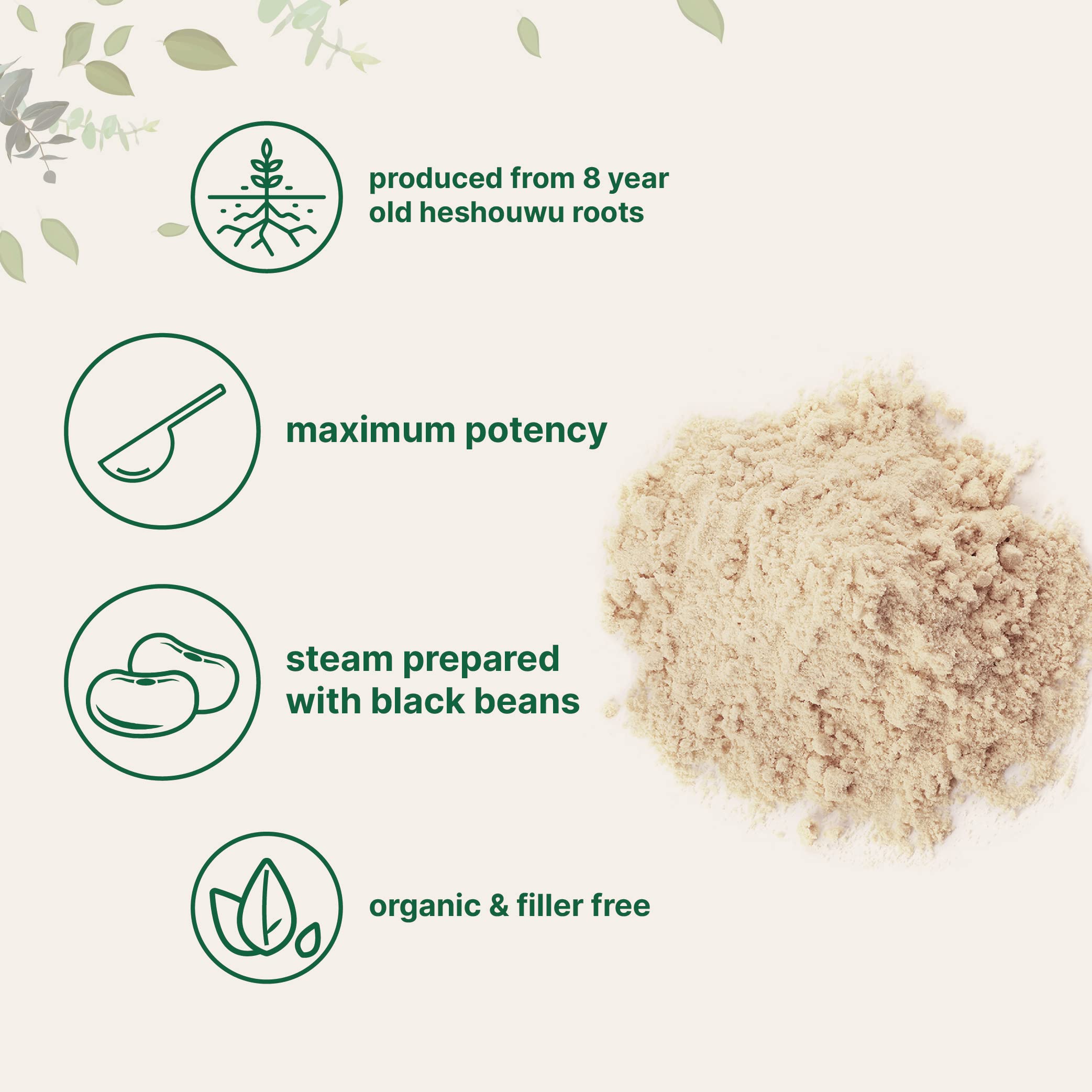 Organic He Shou Wu, Pure Fo Ti Extract Powder, 6 Ounce, Prepared Foti Steaming Micro Ingredients buy supplements canada