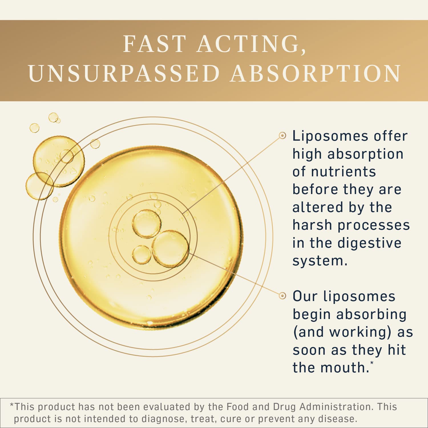 Quicksilver Scientific Liposomal GABA + L Theanine - Calm, Stress Response & Brain Support - Bioavailable GABA Supplement with L Theanine 100mg (1.7oz/50ml) Quicksilver Scientific buy supplements canada