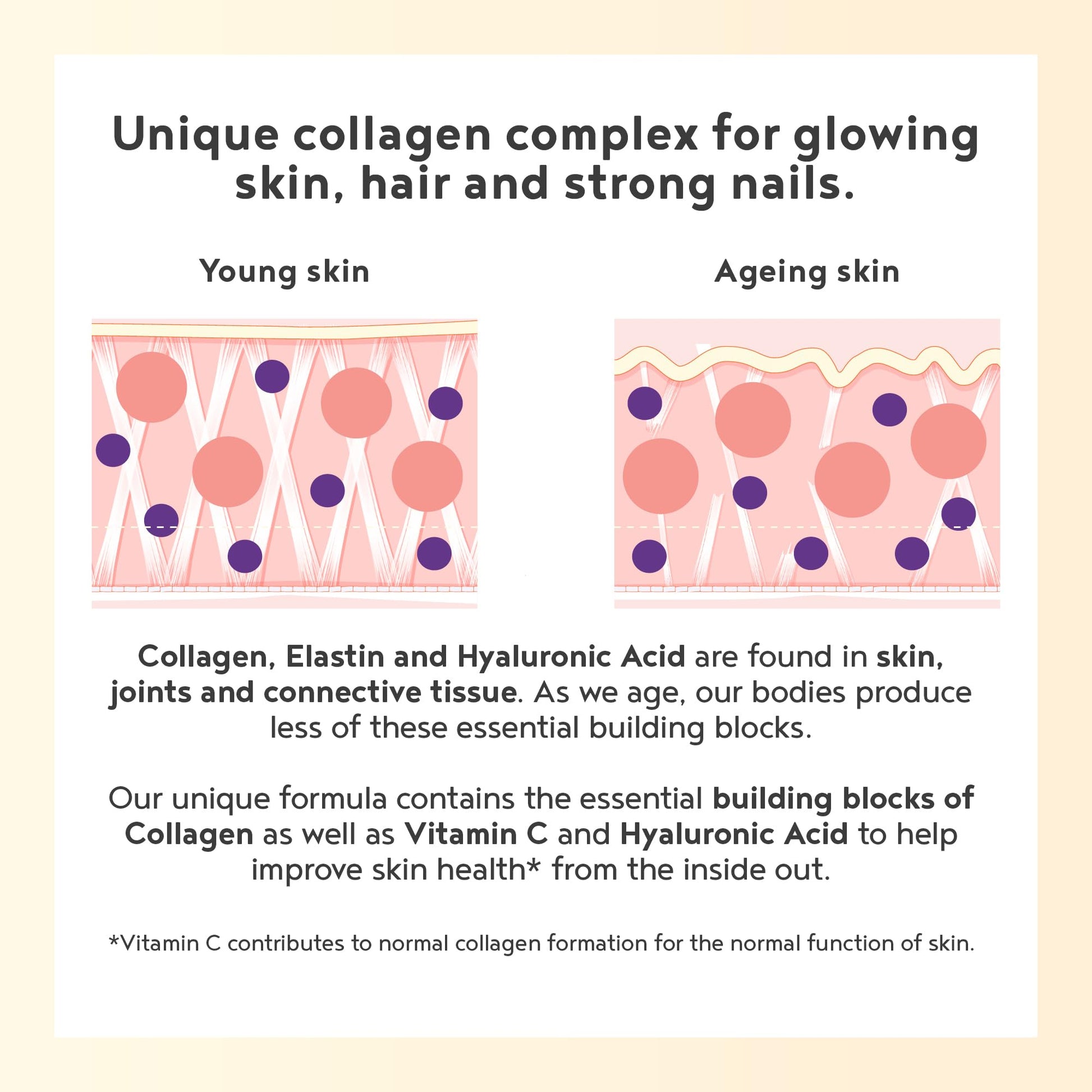 Vegan Collagen Powder with Hyaluronic Acid - Unflavoured 400g Powder Alpha Foods buy supplements canada
