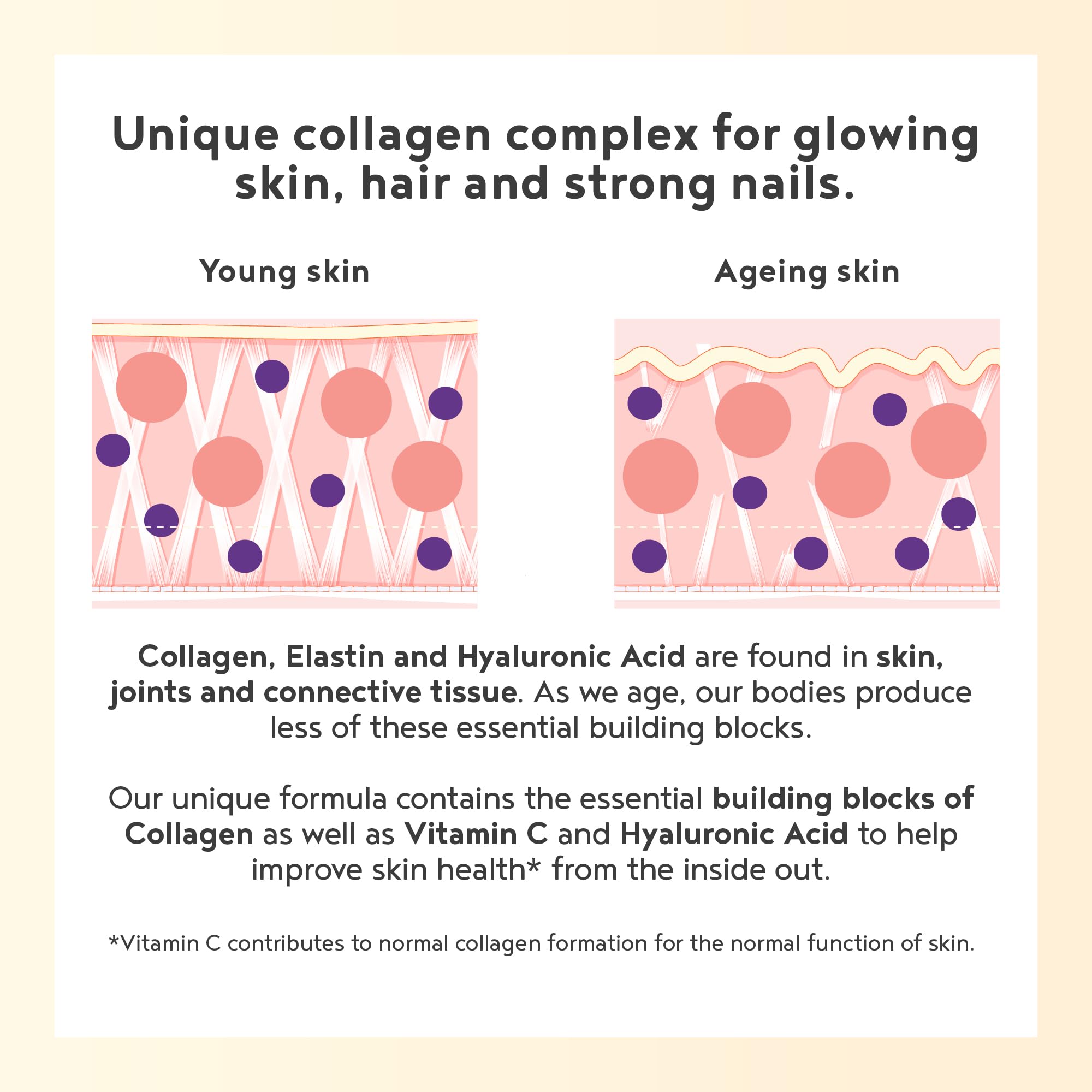 Vegan Collagen Powder with Hyaluronic Acid - Unflavoured 400g Powder Alpha Foods buy supplements canada
