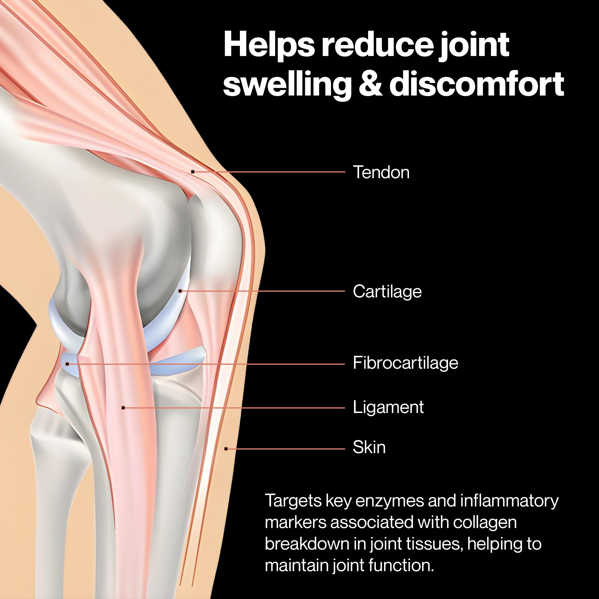 PUREFUNCTION Collagen Repair Joint Support Supplement - Boswellia, Turmeric, Hyaluronic Acid, EGCG, and Undenatured Collagen for Joint Maintenance and Repair - 60 Capsules PUREFUNCTION buy supplements canada