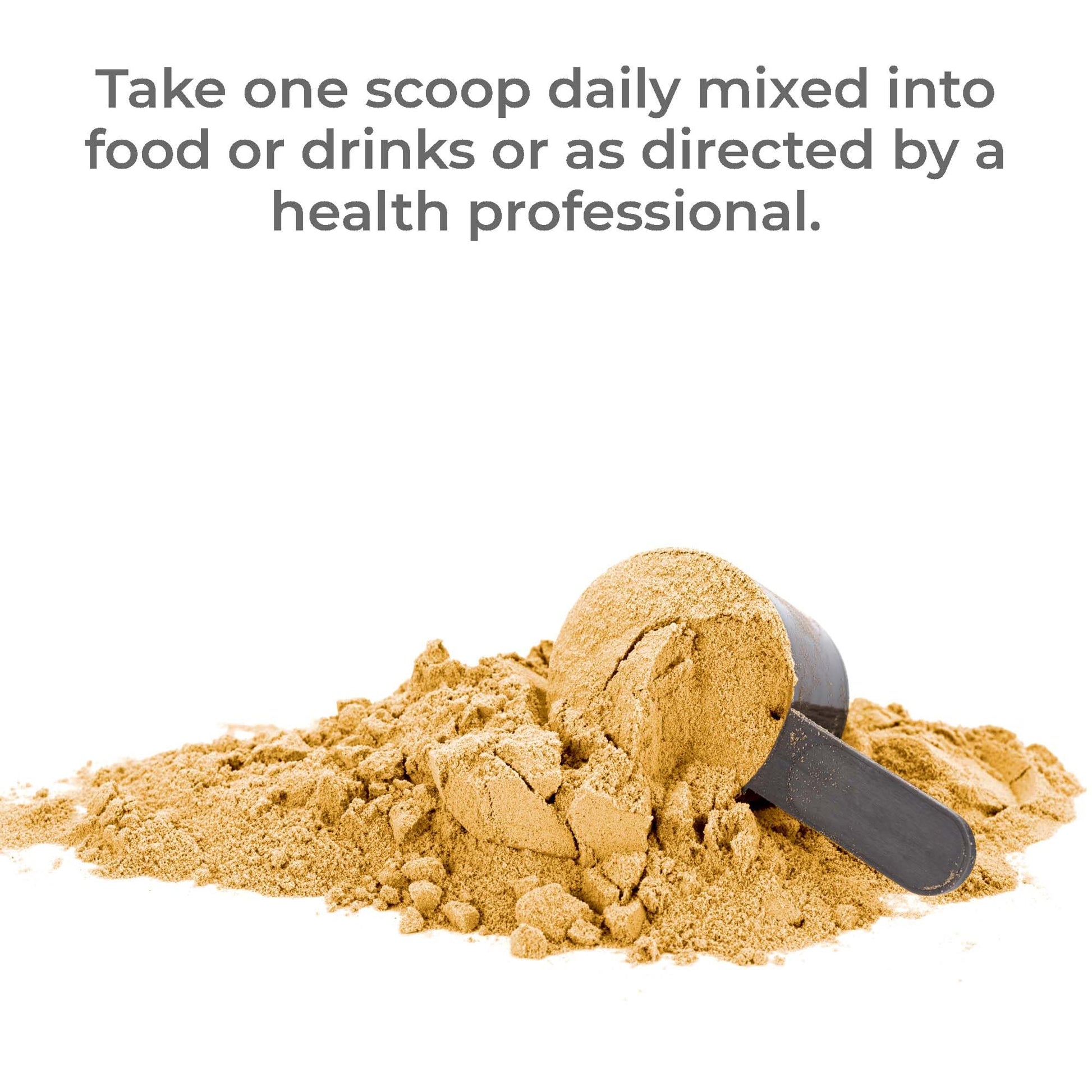 Premier Research Labs Premier Fermented Mushroom Blend - Reishi Mushroom Powder, Mushroom Extract for Drinks, Coffee, Mushroom Complex with Turkey Tail, Cordyceps for Immune & Gut Health - 7.4 oz Premier Research Labs buy supplements canada