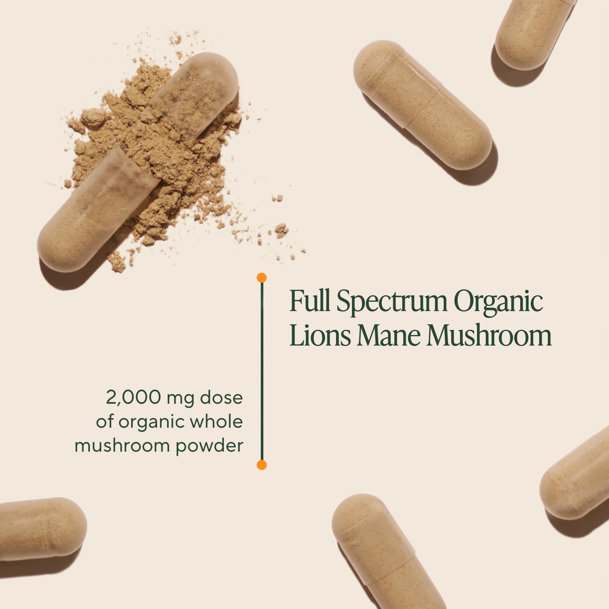 Om Lion’s Mane Mushroom Capsules - Organic Mushroom Supplement and Nootropic - Brain Supplements for Memory and Focus, 180 Count (60 Servings) OM MUSHROOM SUPERFOOD buy supplements canada