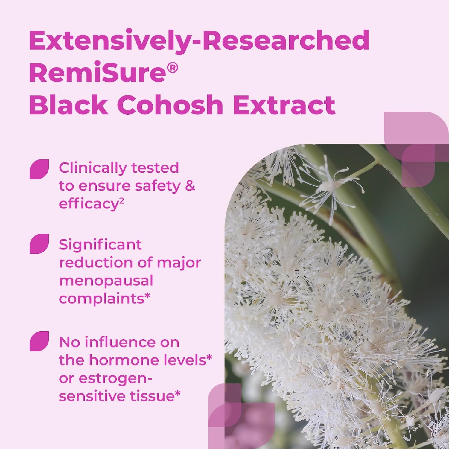 Remifemin Menopause Symptoms Relief - Clinically Proven Ingredients - Menopause Supplements - Black Cohosh - Estrogen-Free - Made in Germany - 60 Tablets Remifemin buy supplements canada