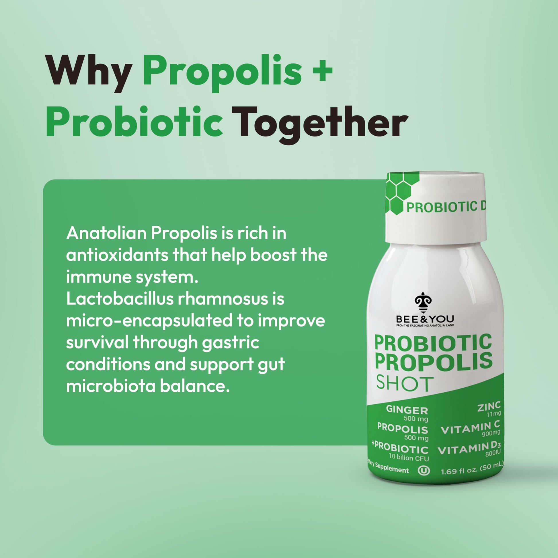 Bee and You Propolis Immune Shot, Probiotic, Vitamin C, Vitamin D3, Zinc, Ginger, Immune Support, Gut Health, Digestive Health, Bioactive 1.69 Fl. oz, 12 Pack BEE & YOU buy supplements canada
