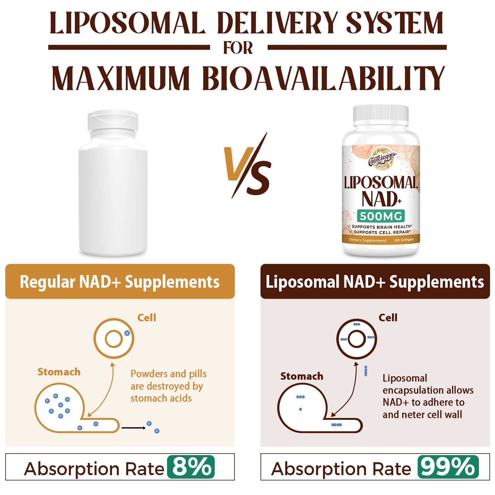 Liposomal NAD+ 500 MG Supplement, True NAD Plus Supplement, Superior Absorption, Boost NAD+ More Efficient Than Nicotinamide Riboside for Cellular Energy, Healthy Aging, 120 Serving Caenciennes buy supplements canada