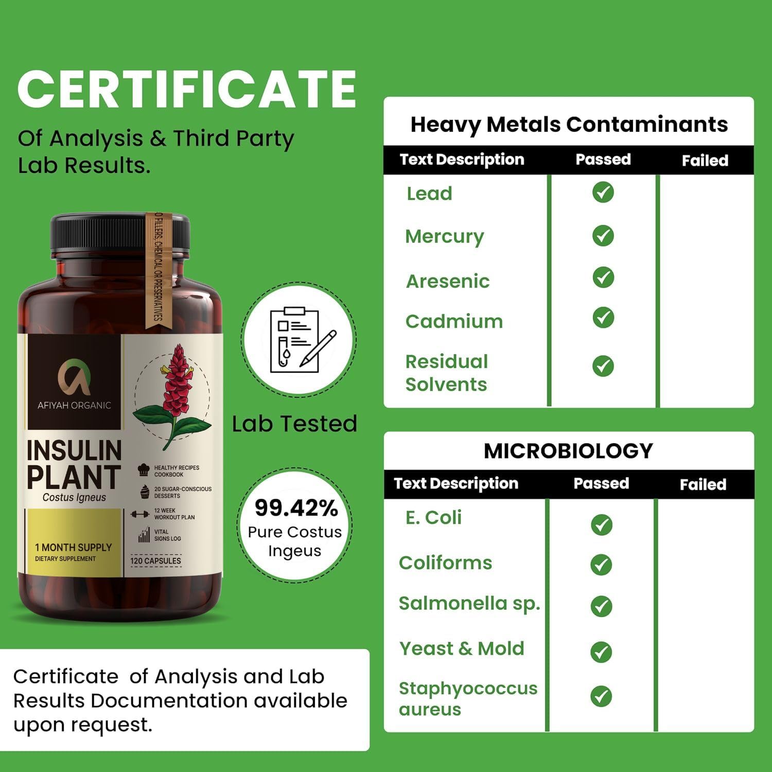 Afiyah Organic - Premium Quality Costus Igneus (Insulin Plant) Capsules - Easy to Swallow 120 Veggie Capsules (1 Month Supply) - Made in the USA - Including Complete Health Support Program Afiyah Organic buy supplements canada