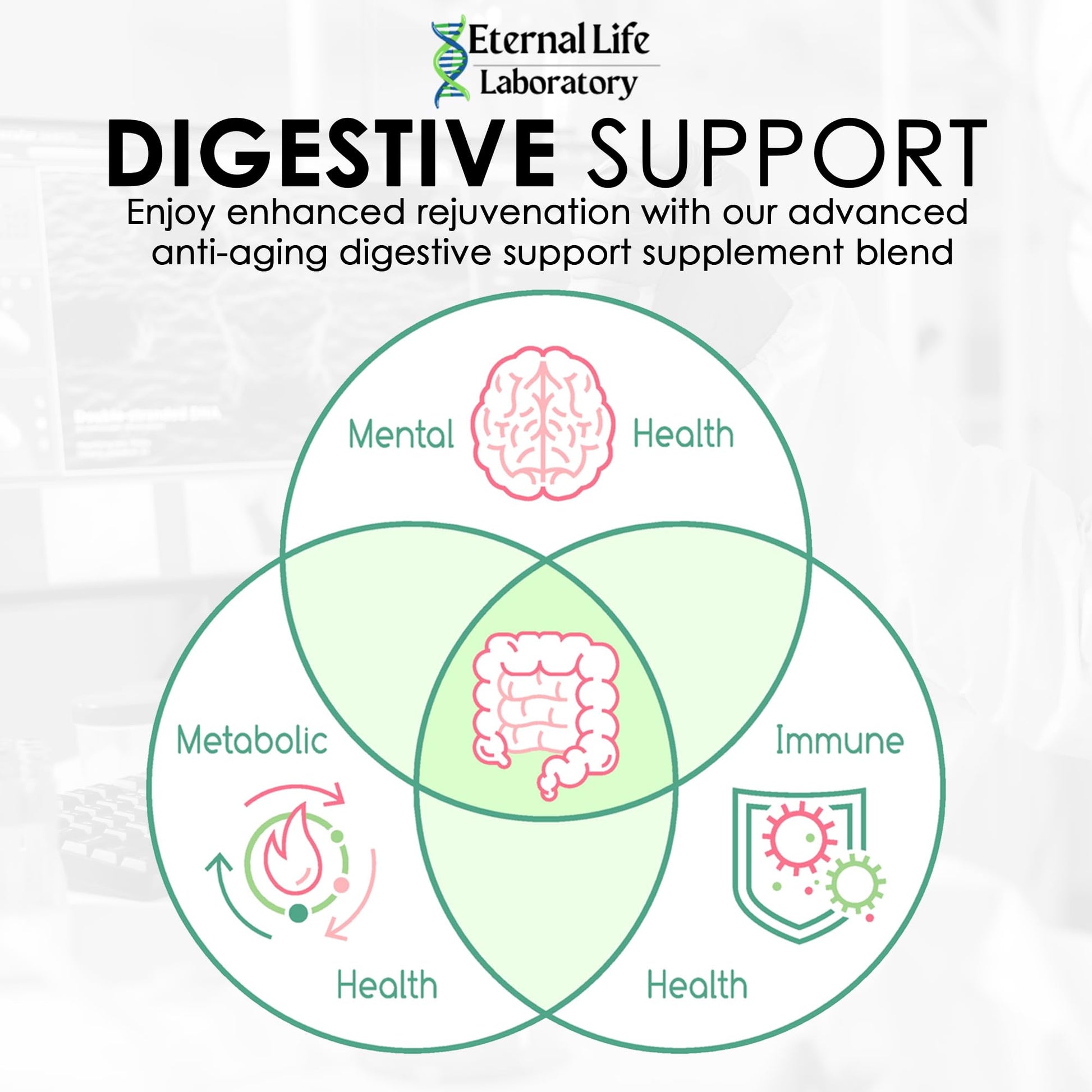 Probiotics for Women and Men, Daily Probiotic Supplement Probiotics and Triphala, Green Tea Extract - Anti-Aging Gut Health Optimizer - Intestinal, Colon & Digestive Health - 90 Capsules Eternal Life Laboratory buy supplements canada