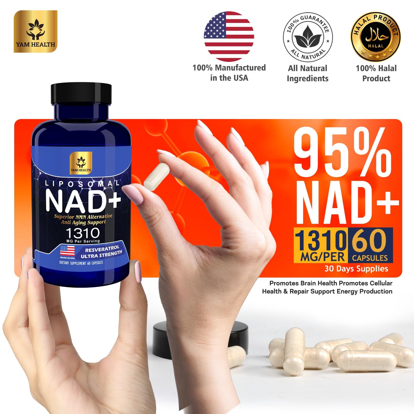 YAM Health Liposomal NAD Nicotinamide Riboside Equivalent with Trans-Resveratrol 300mg, Premium Halal NAD Supplement for Energy Metabolism, DNA Repair and Longevity, Vegan, Non-GMO (60 Count) YAM Health buy supplements canada
