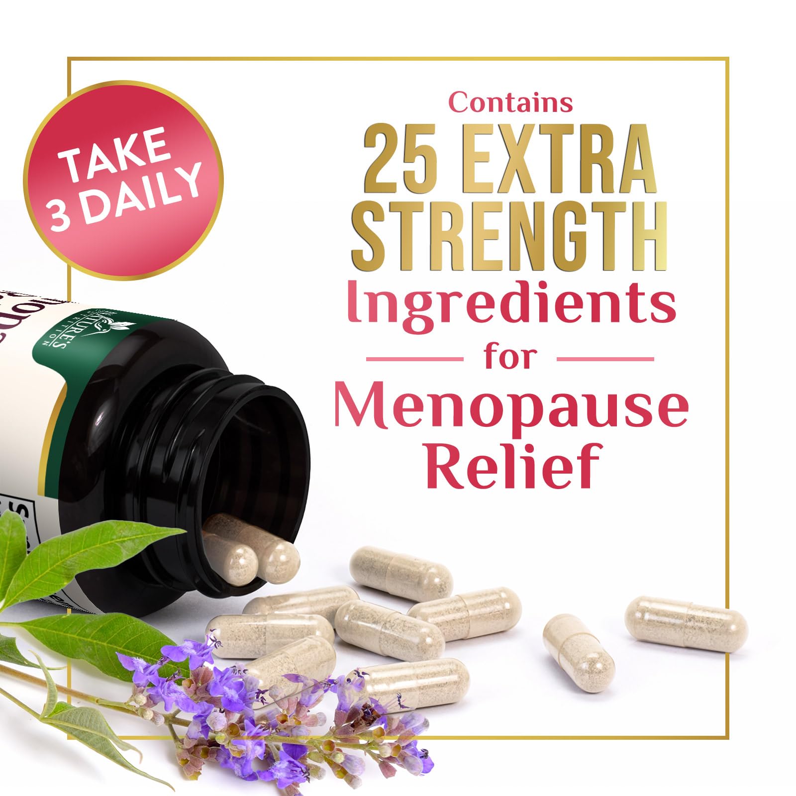 Menopause Supplement for Women - Natural Menopause Relief Support for Mild Hot Flashes & Night Sweats - Best Probiotics for Women, Dong Quai, Black Cohosh, Ashwagandha - Bottled in USA - 60 Capsules Nature's Nutrition buy supplements canada