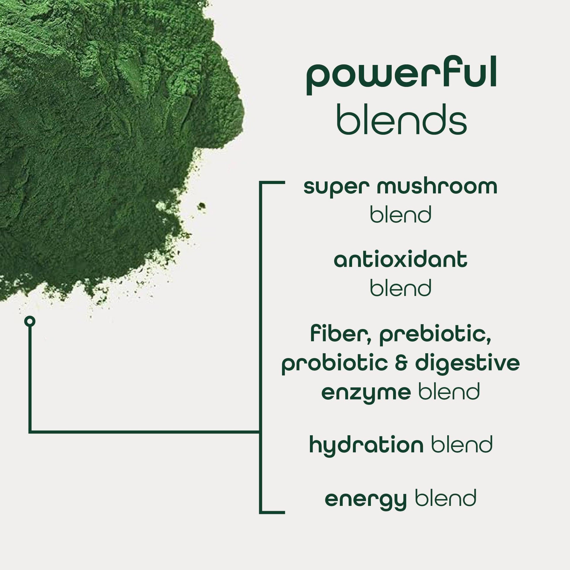 Zena Nutrition Organic Super Greens Energy & Hydration Powder, 70+ Superfoods, 0 Sugar, 5G Fiber, Spirulina, Chlorella, Prebiotics/Probiotics, Natural Caffeine + Electrolytes, 40 Drink Mix Packets Zena Nutrition buy supplements canada